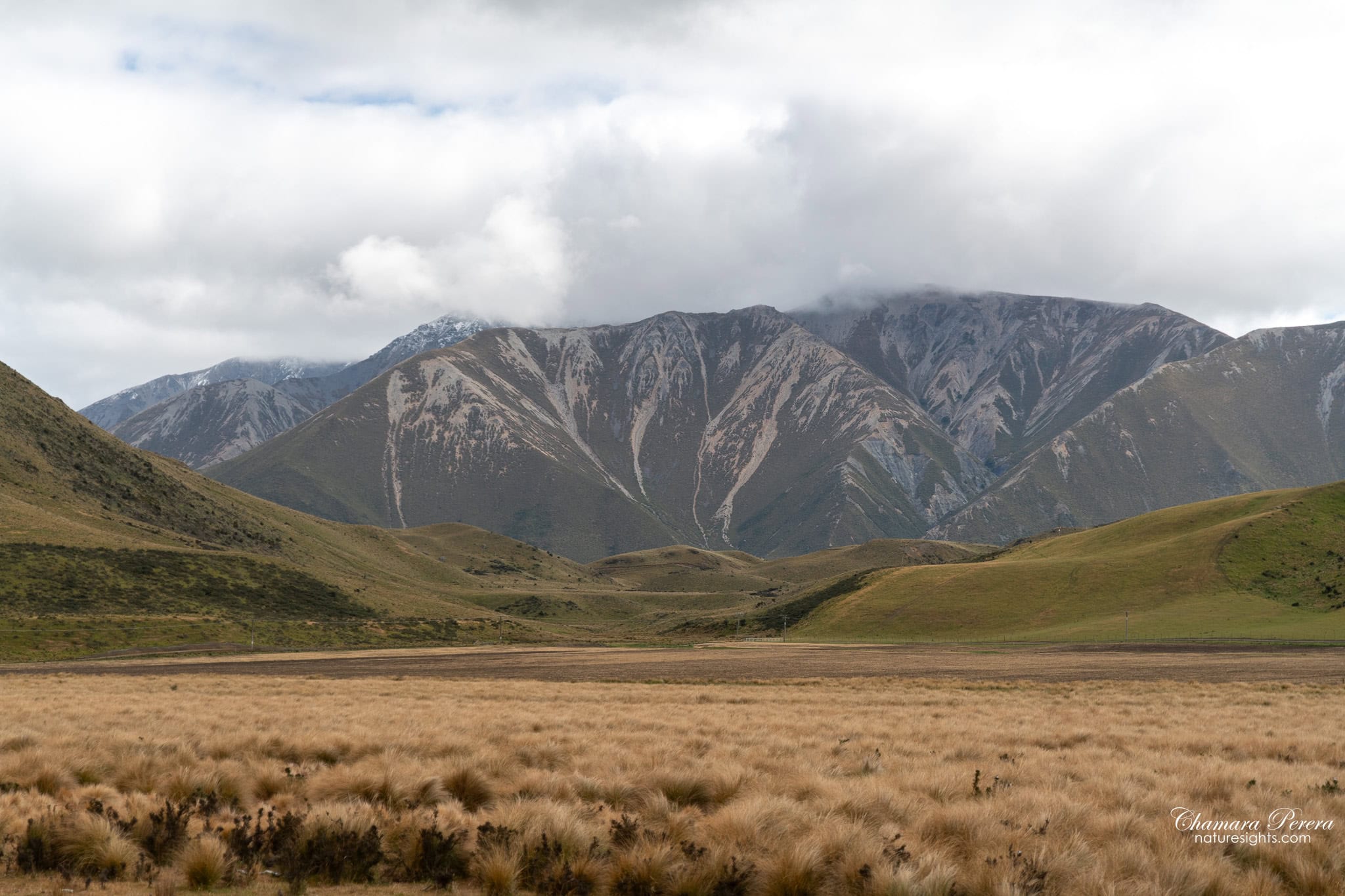 Arthur's Pass tussock valley and mountain peaks New Zealand