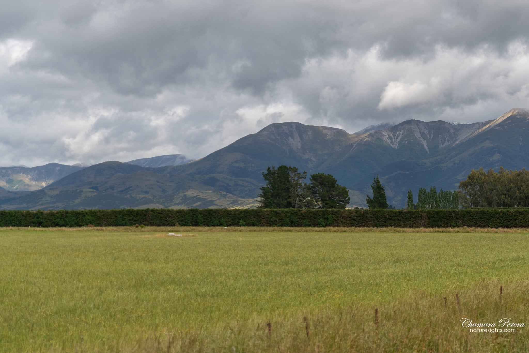 Canterbury farmland and Southern Alps TranzAlpine scenic train New Zealand