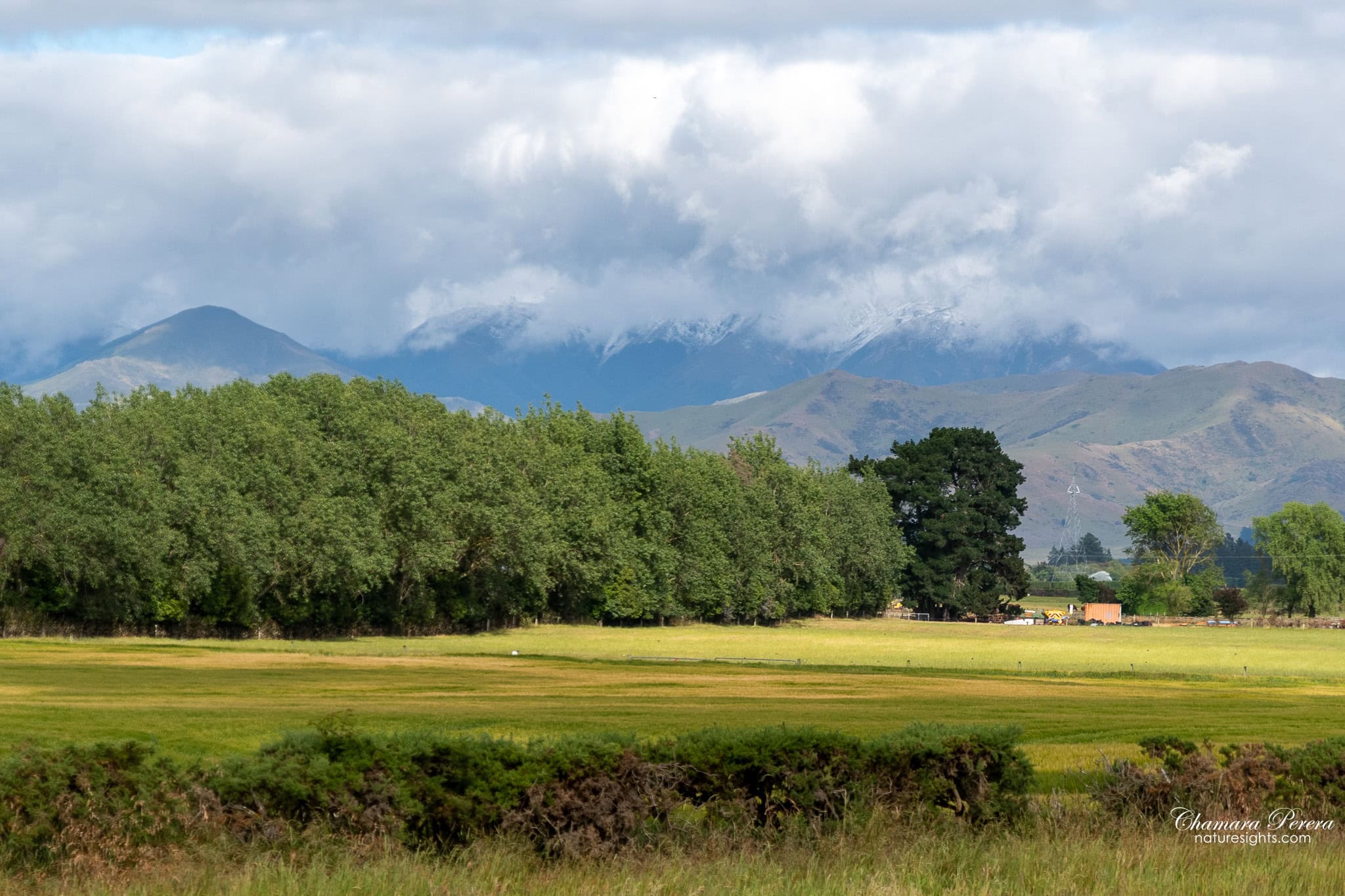 Canterbury Plains farmland with Southern Alps in background TranzAlpine New Zealand