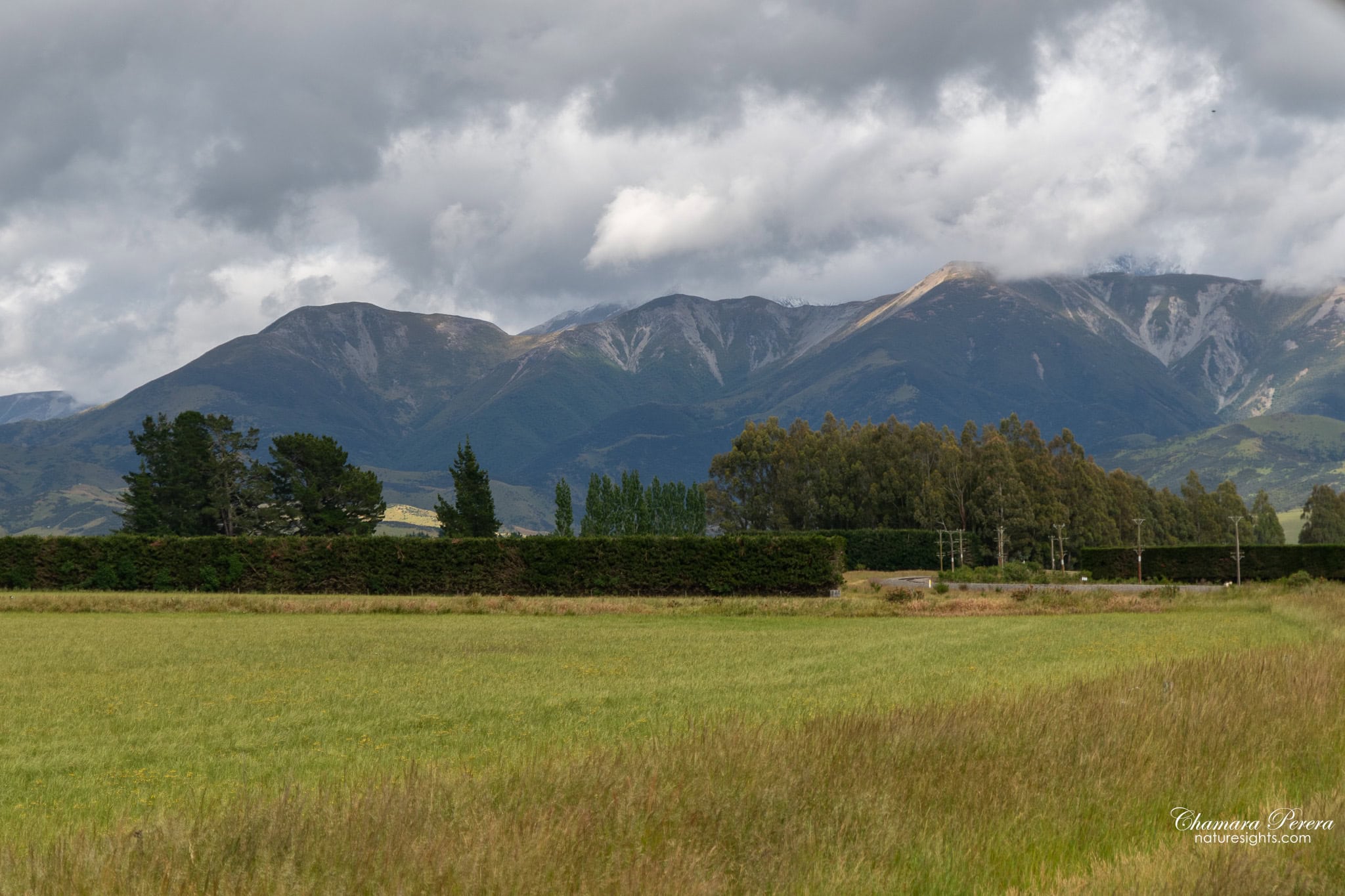 Canterbury Plains with Southern Alps view TranzAlpine New Zealand