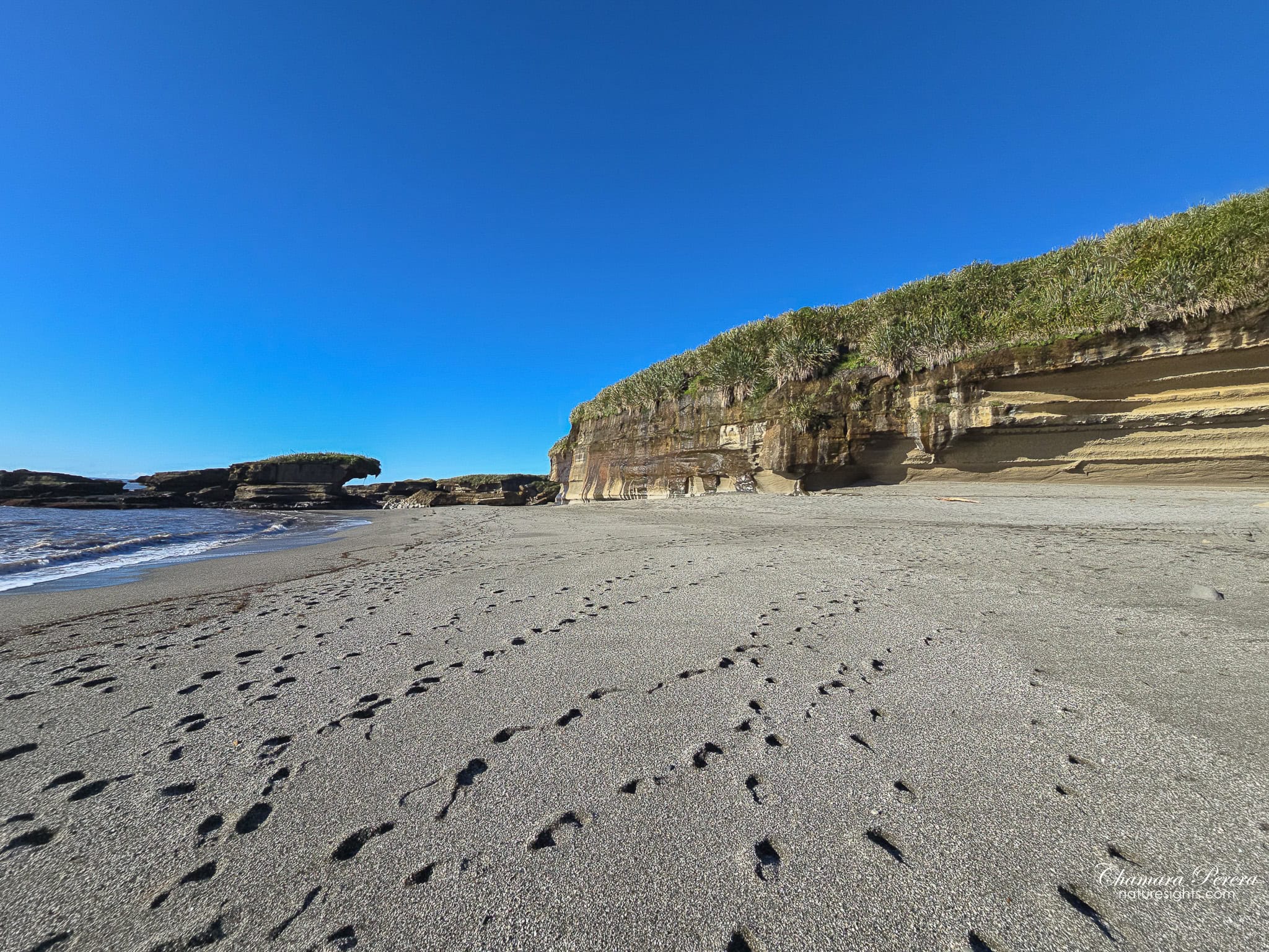 Punakaiki beach cliffs west coast New Zealand