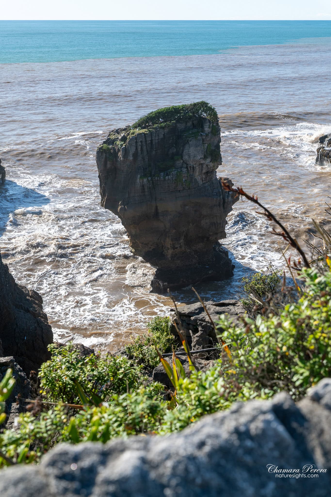 rock stack at Punakaiki west coast New Zealand