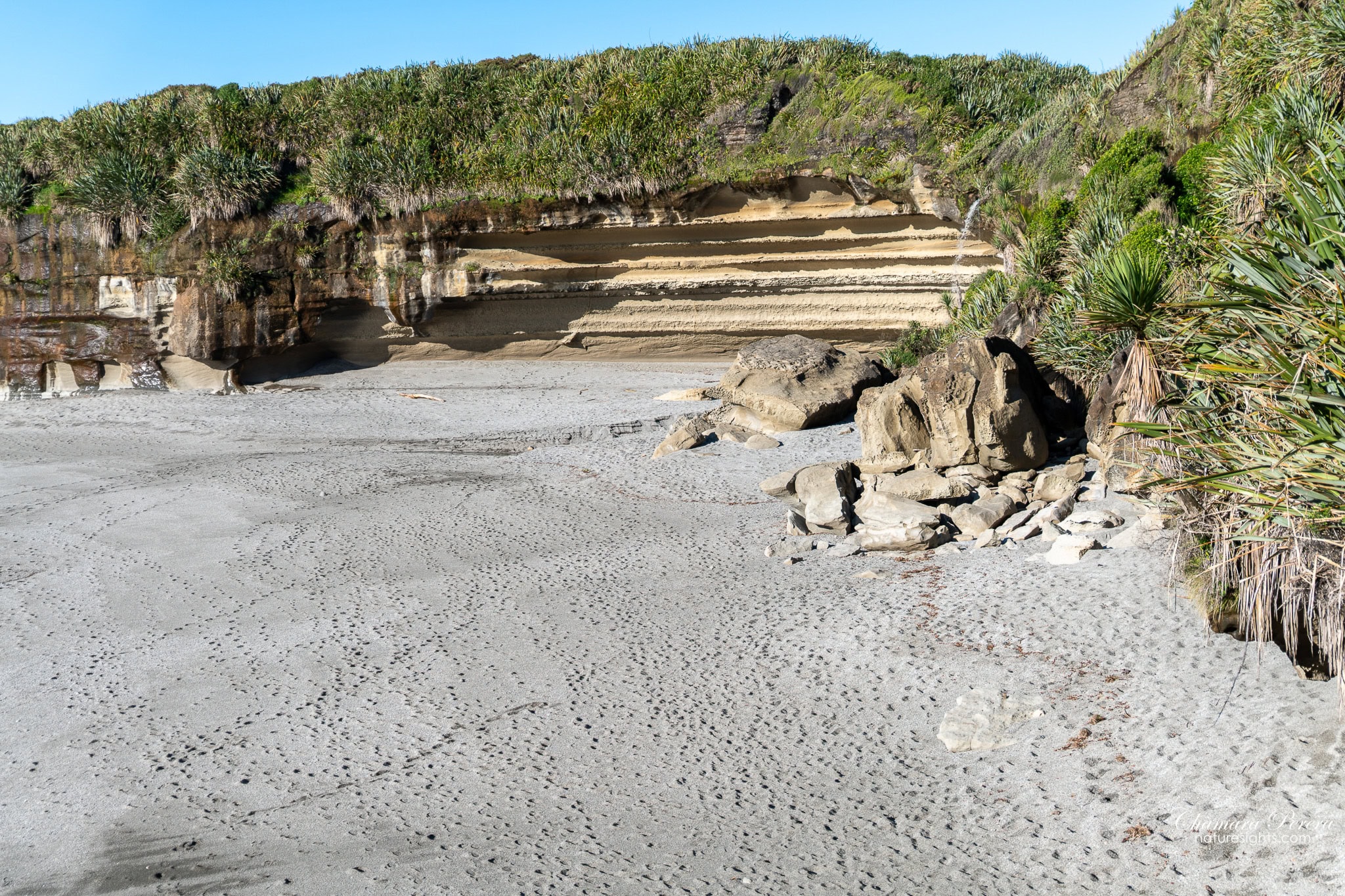 sandy beach at Punakaiki west coast New Zealand