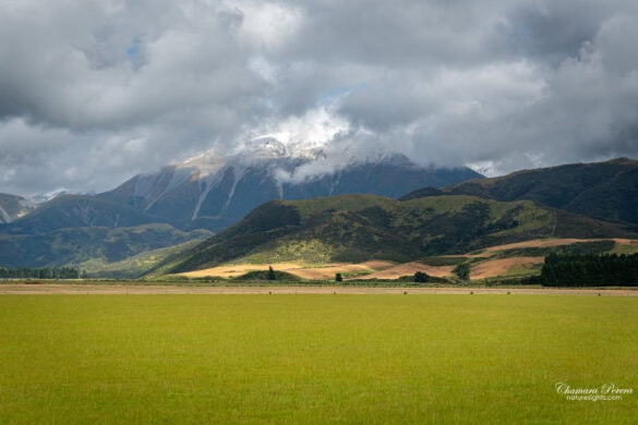 Snow-capped Southern Alps above Canterbury Plains TranzAlpine New Zealand