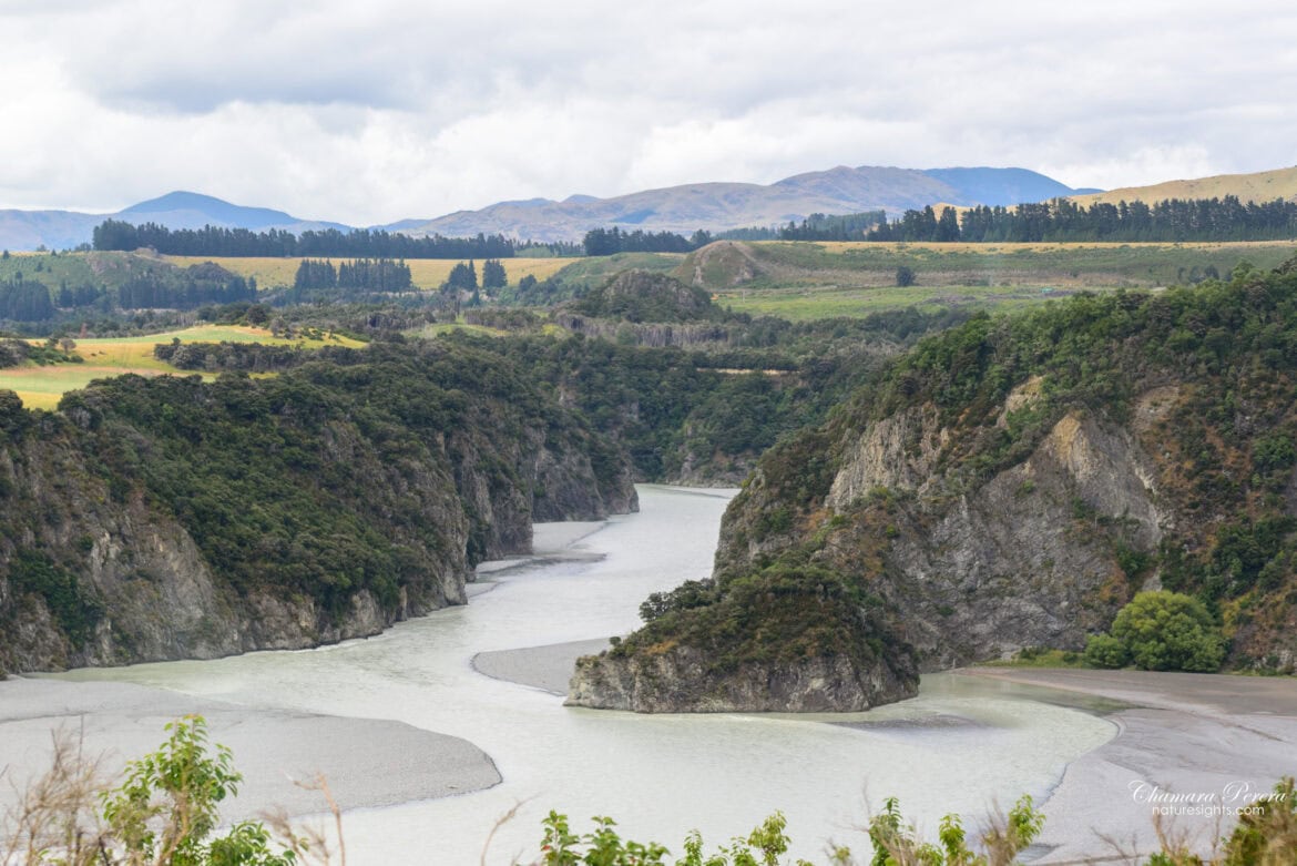Waimakariri Gorge with glacial blue-green river TranzAlpine New Zealand