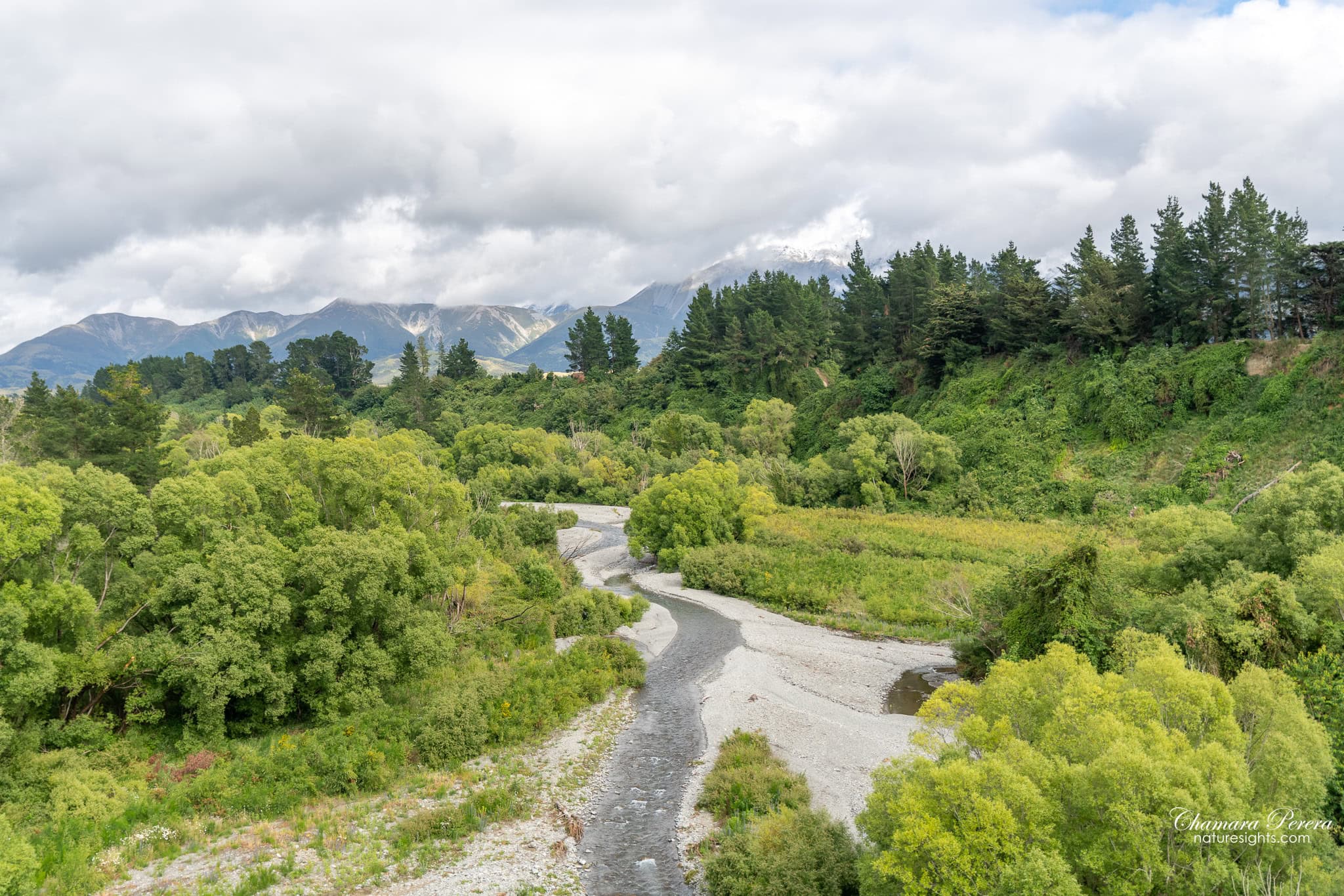 Waimakariri River winding through bush Arthur's Pass New Zealand