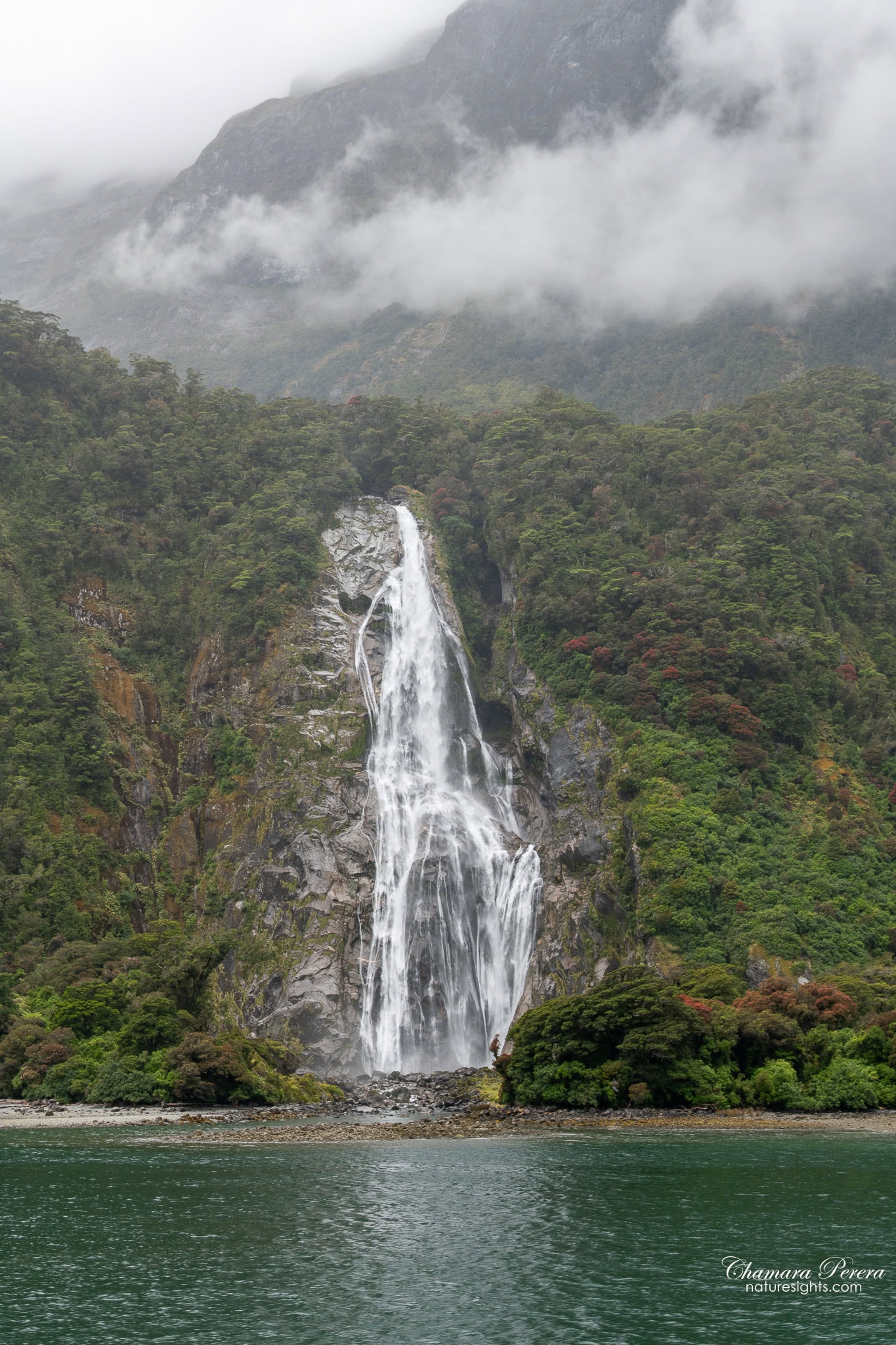 Bowen Falls Milford Sound New Zealand from cruise boat
