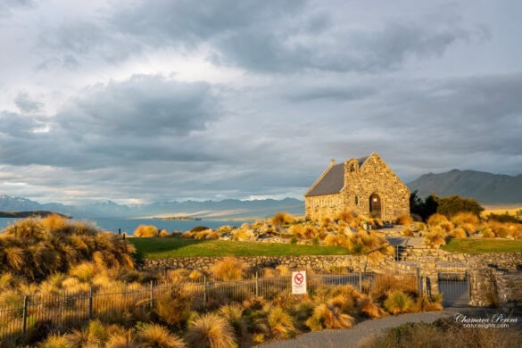 Church of the Good Shepherd Lake Tekapo golden light sunset New Zealand