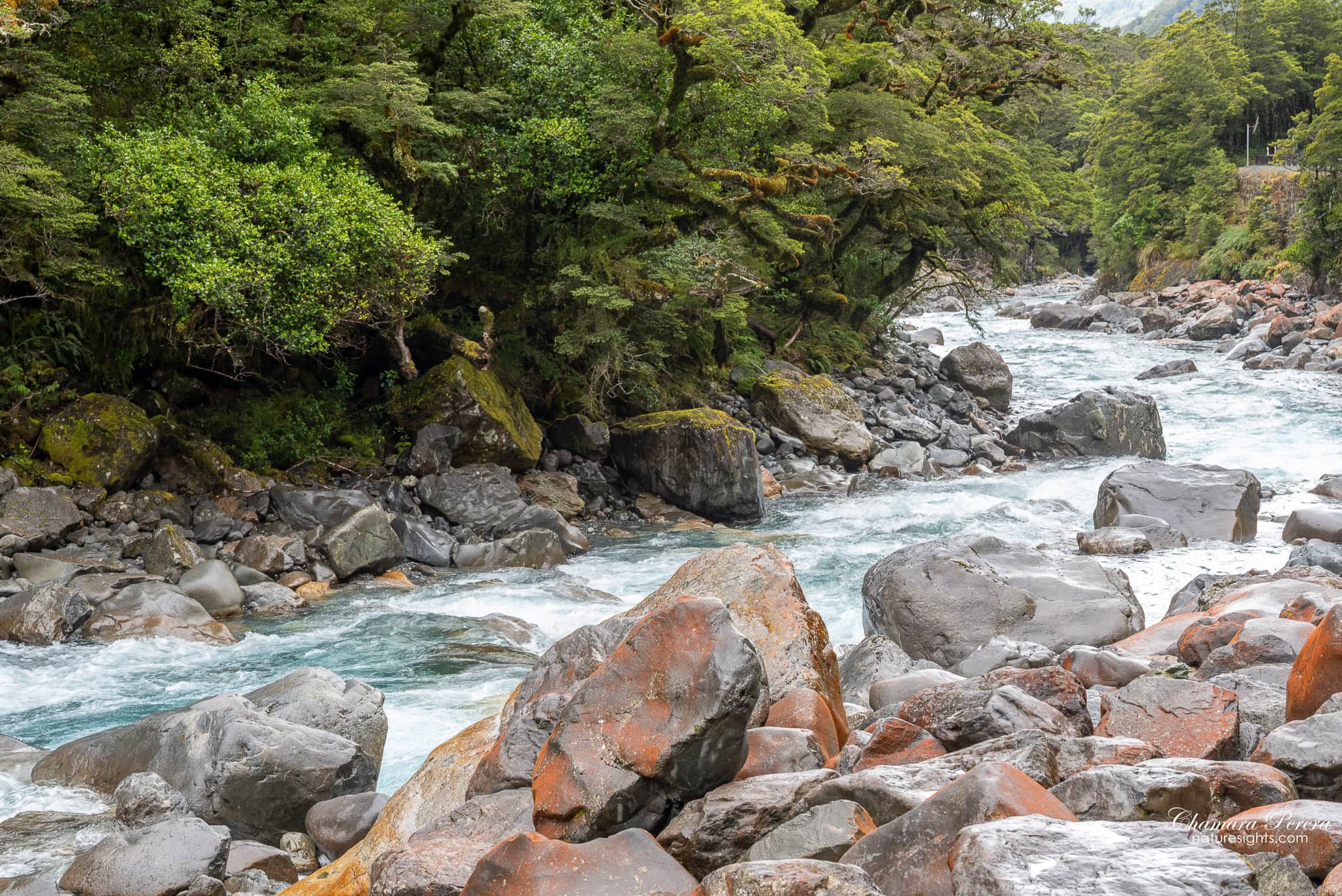 Cleddau River turquoise water and boulders Milford Road Fiordland New Zealand