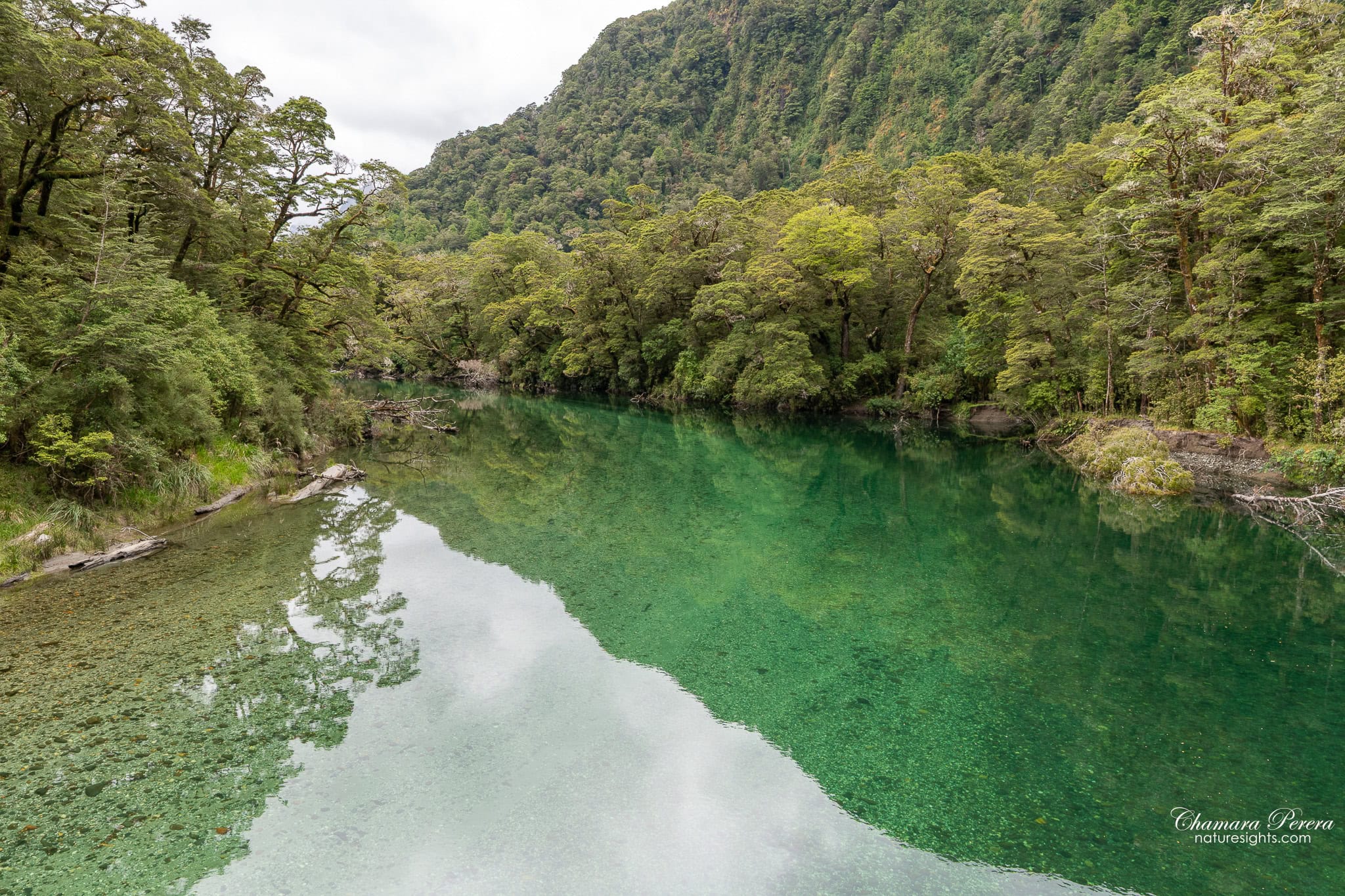 crystal clear green water Clinton River Milford Track Fiordland New Zealand