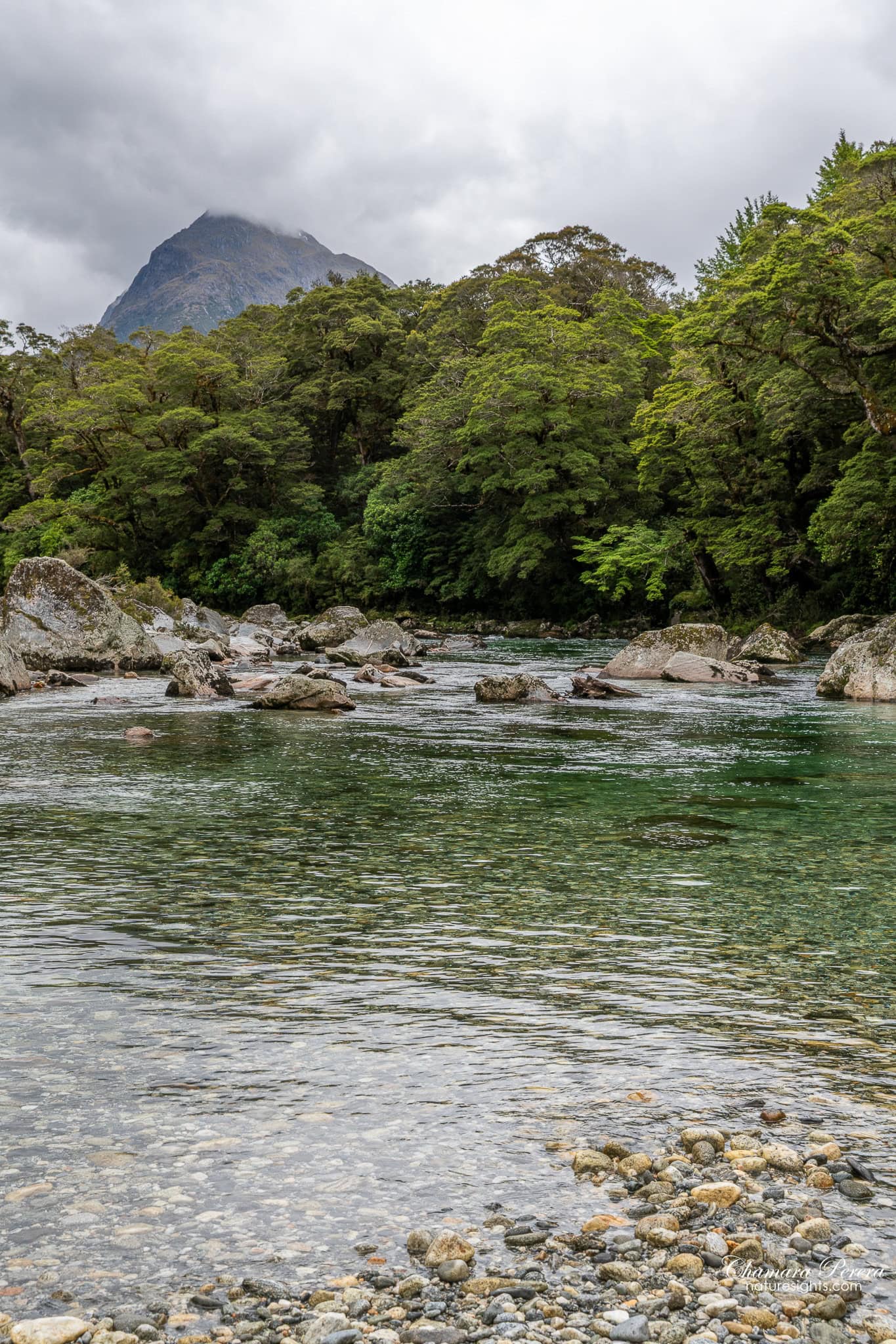 Clinton River with mountain peak Milford Track Fiordland New Zealand