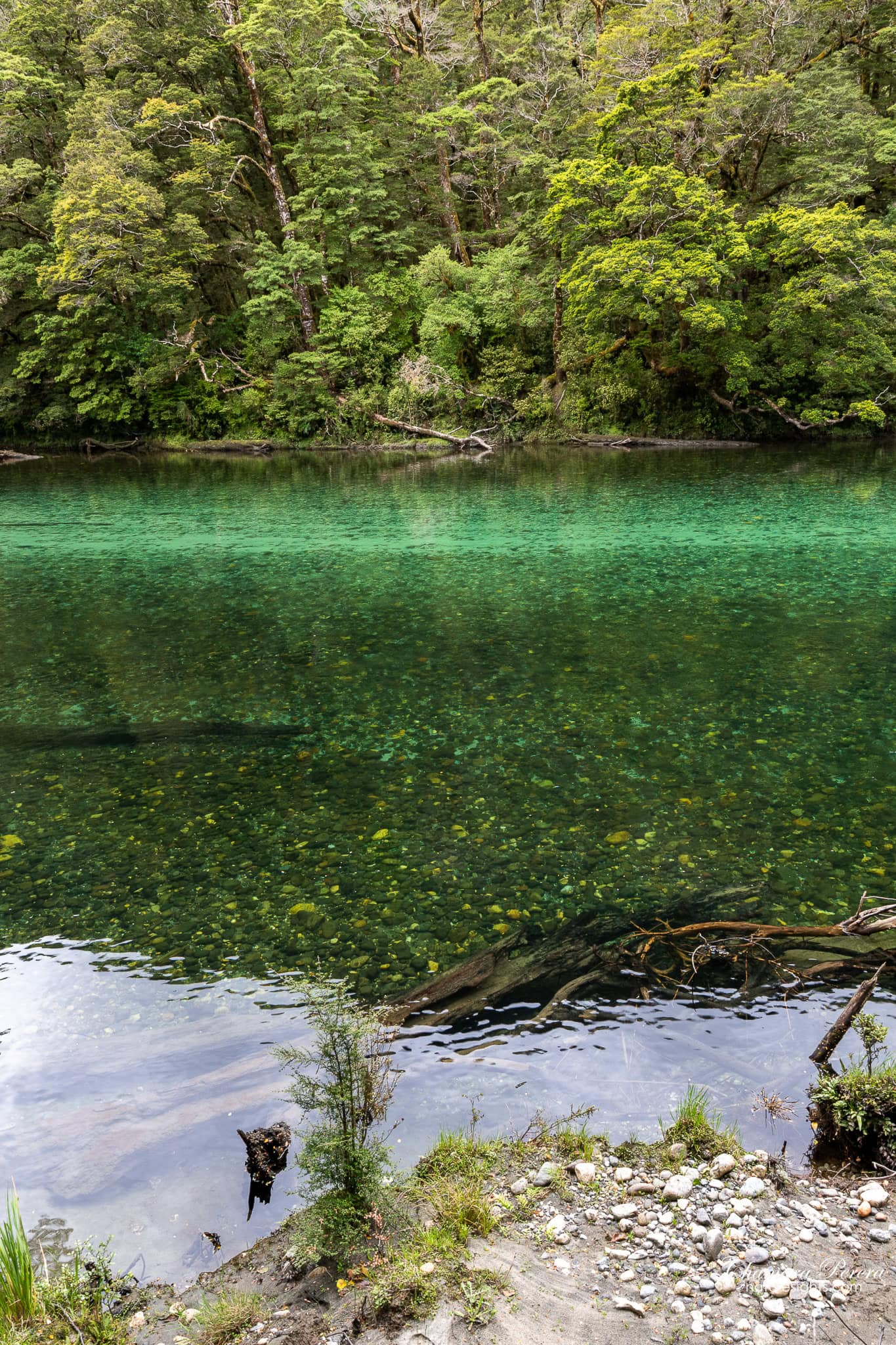 crystal clear shallow Clinton River water Milford Track New Zealand