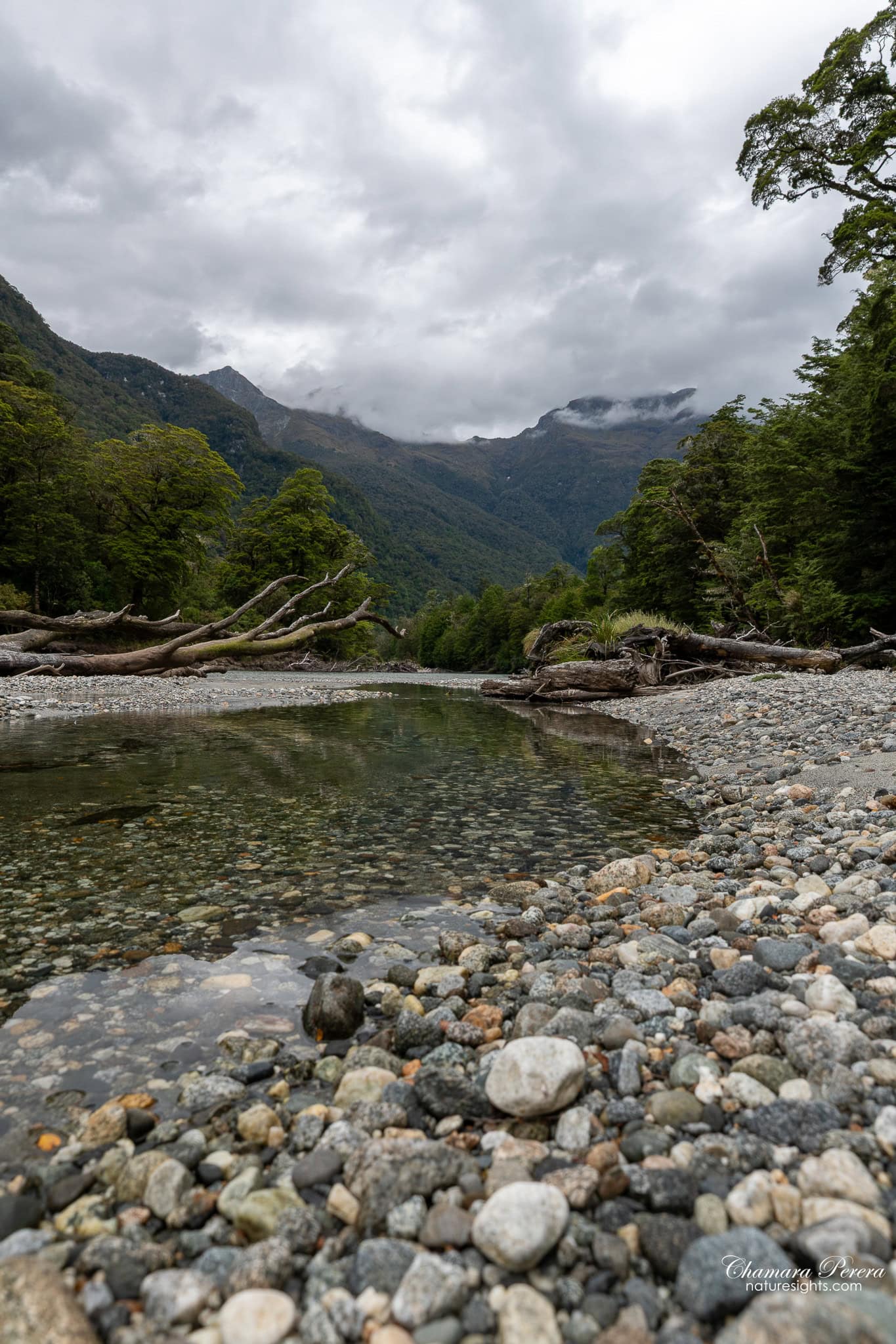 Clinton River shingle bed valley view Milford Track New Zealand