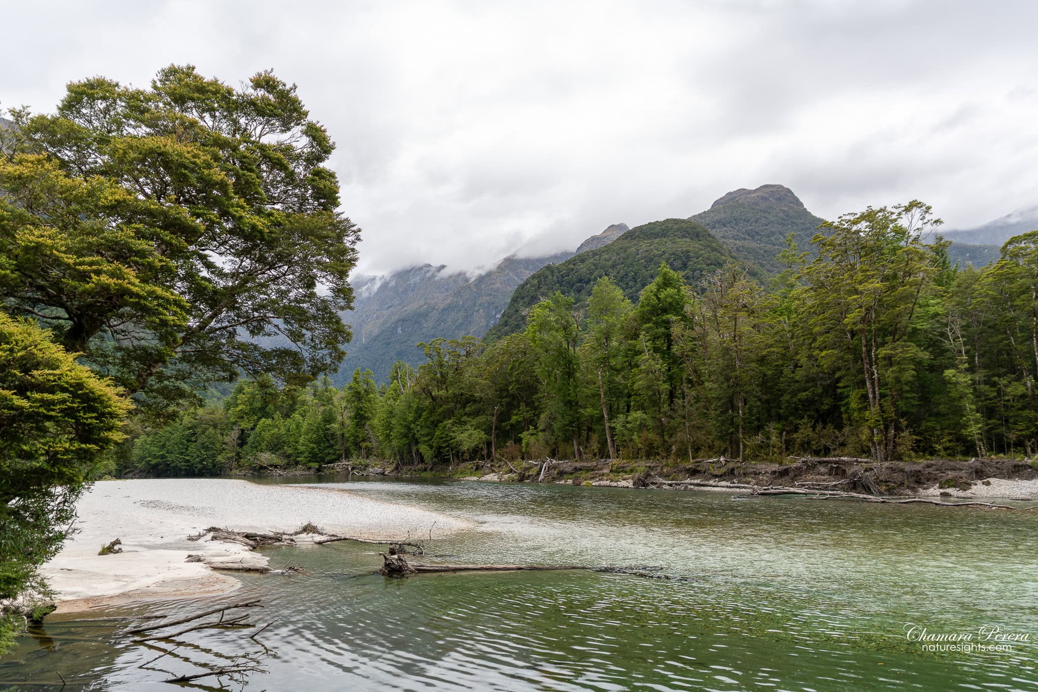 Clinton River wide bend and forest Milford Track New Zealand