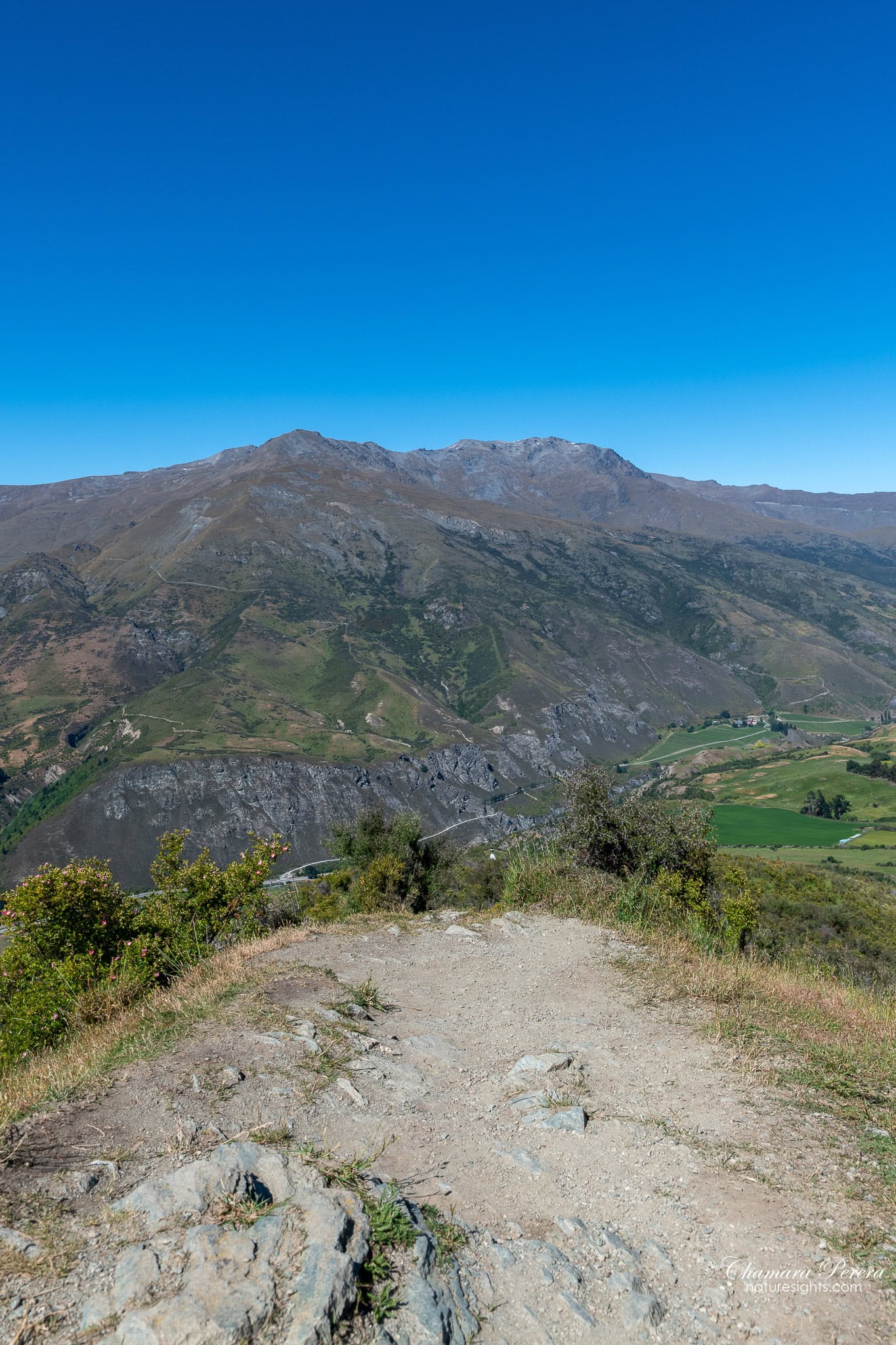 Crown Range summit viewpoint trail above Cardrona Valley New Zealand