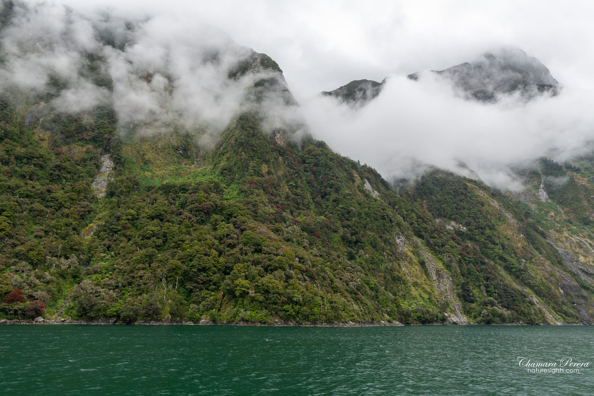 Cruise boats on Milford Sound Fiordland New Zealand
