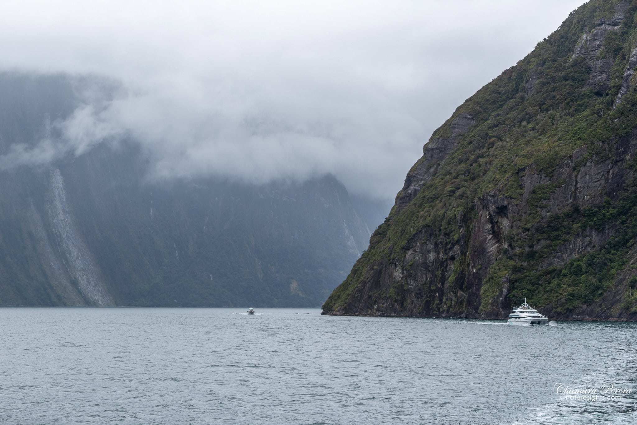 Cruise boats on Milford Sound with mountains Fiordland New Zealand