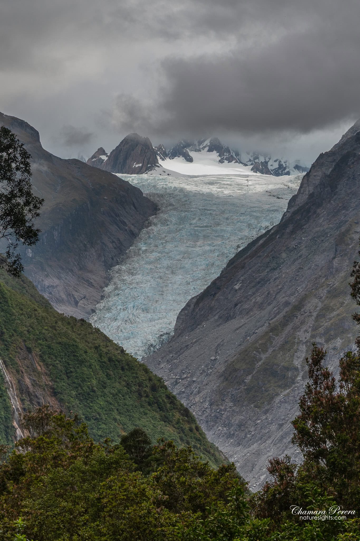 Fox Glacier ice face close up Westland Tai Poutini National Park New Zealand