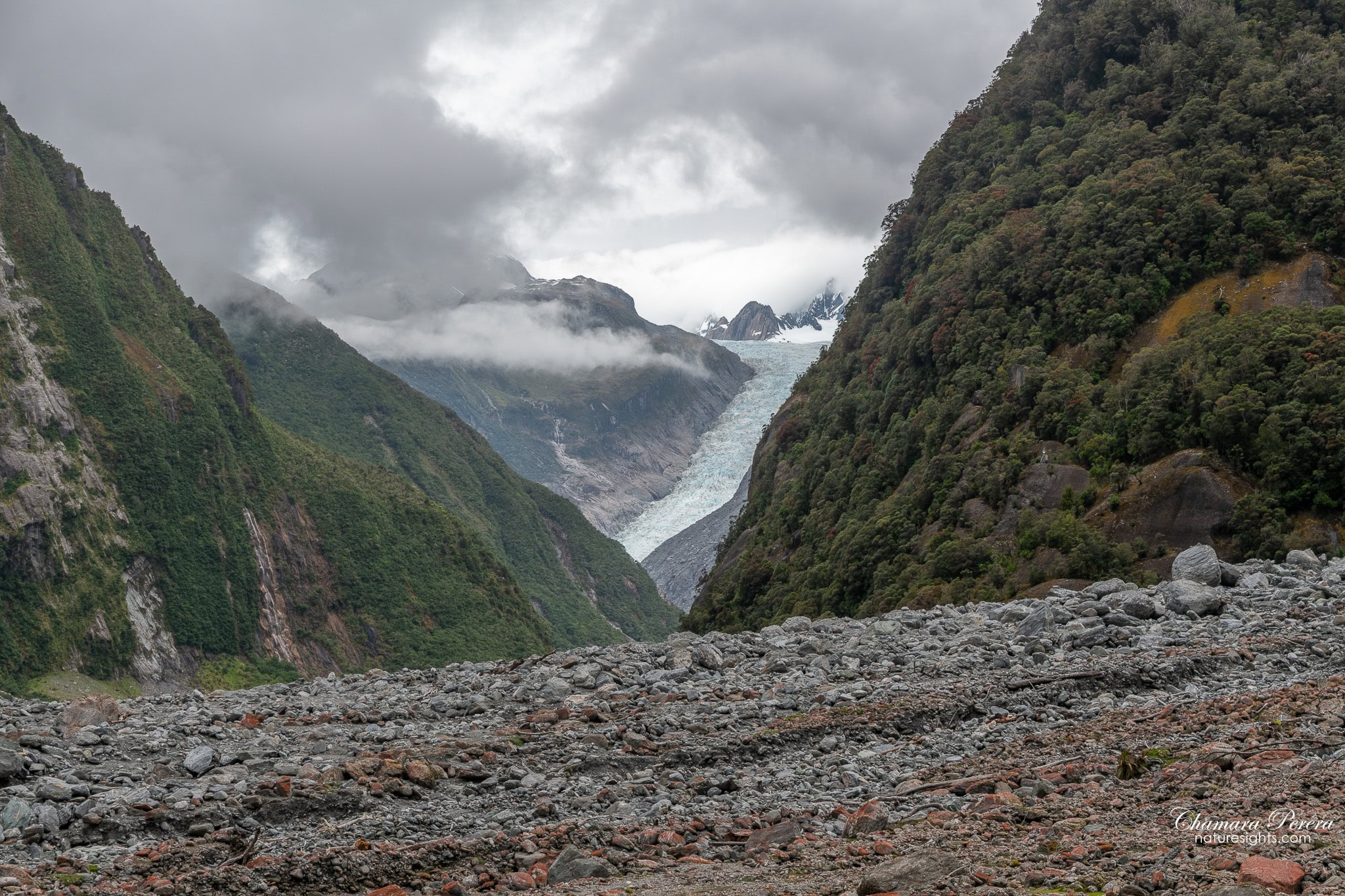 Fox Glacier valley from moraine riverbed West Coast New Zealand