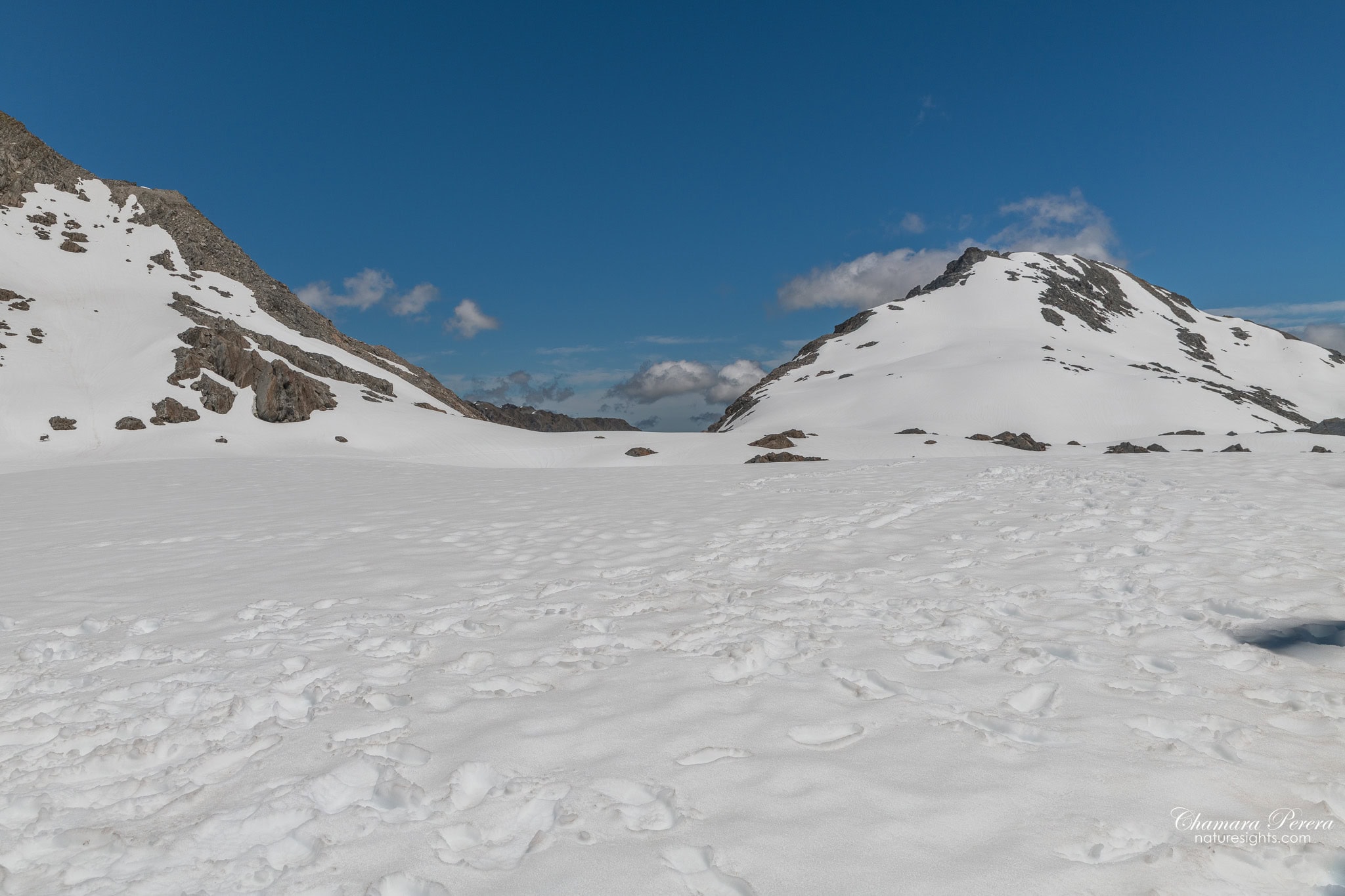 Franz Josef Glacier neve snowfield between peaks New Zealand