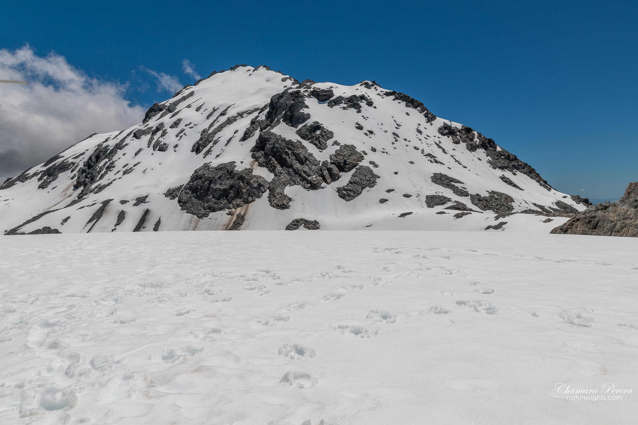 Franz Josef Glacier snowfield with rocky alpine peak New Zealand