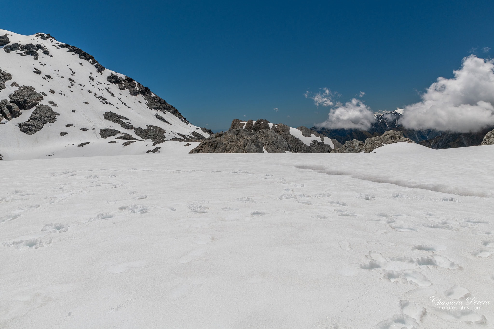 Franz Josef Glacier snow and schist rock formations New Zealand