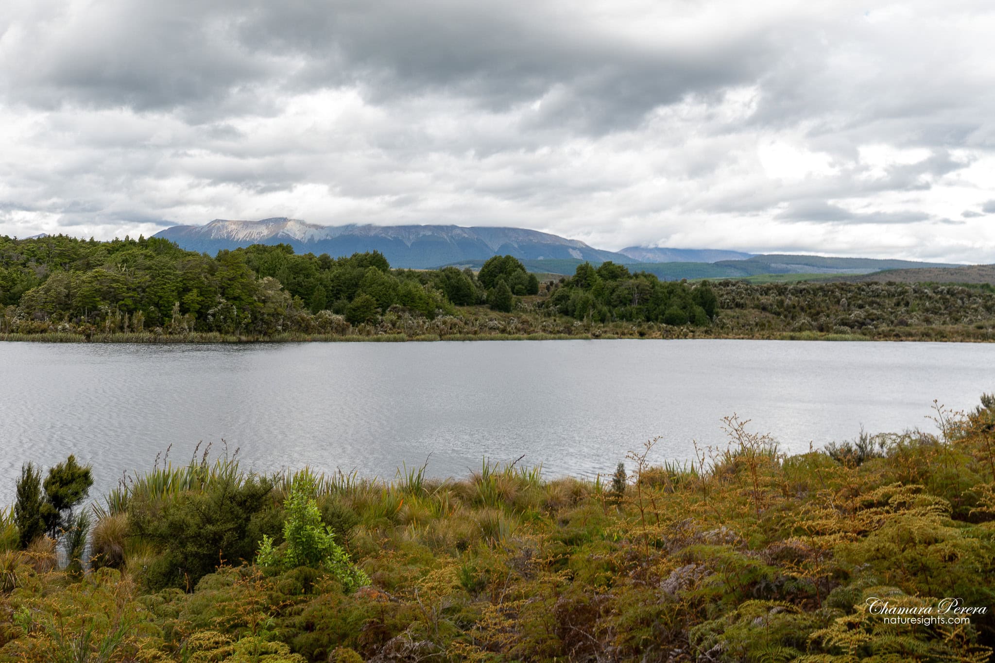Lake Gunn Fiordland National Park New Zealand