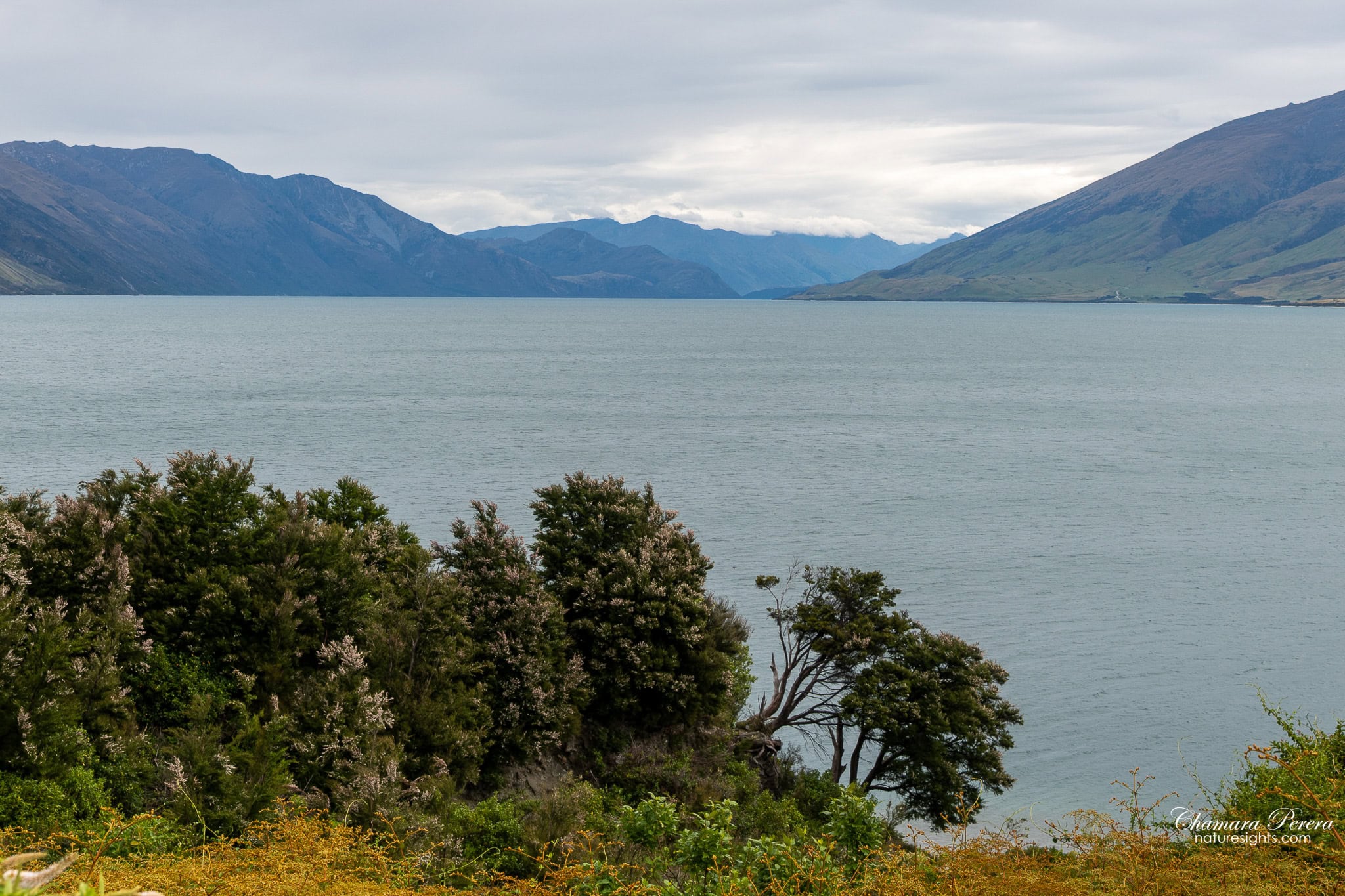 Lake Hawea mountain lake South Island New Zealand