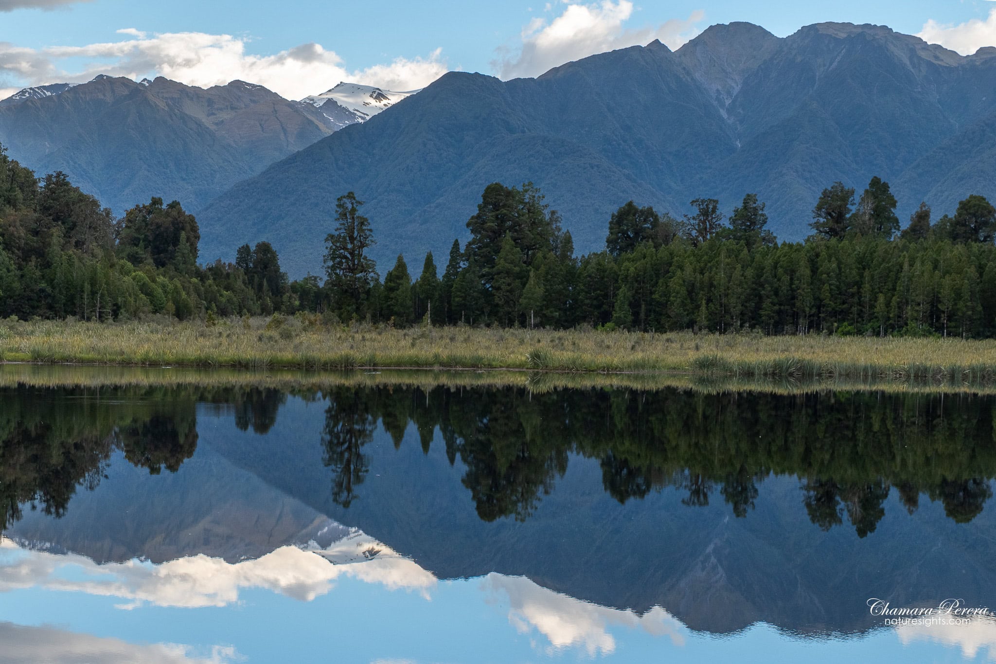 Lake Matheson reflection of forest and Southern Alps New Zealand