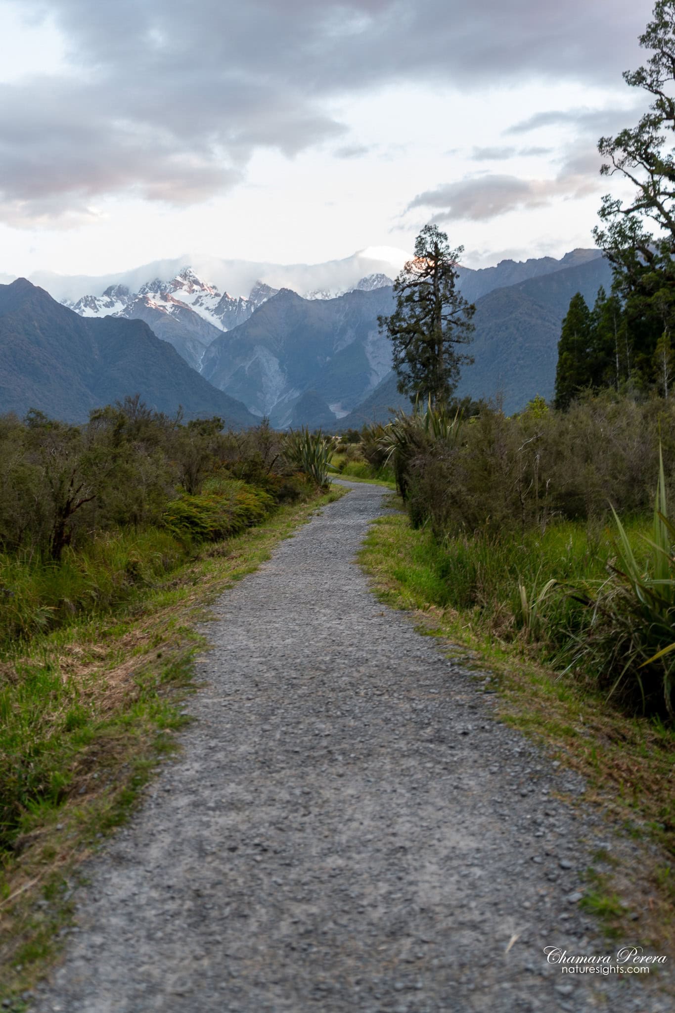 Walking track to Lake Matheson with Southern Alps Fox Glacier New Zealand