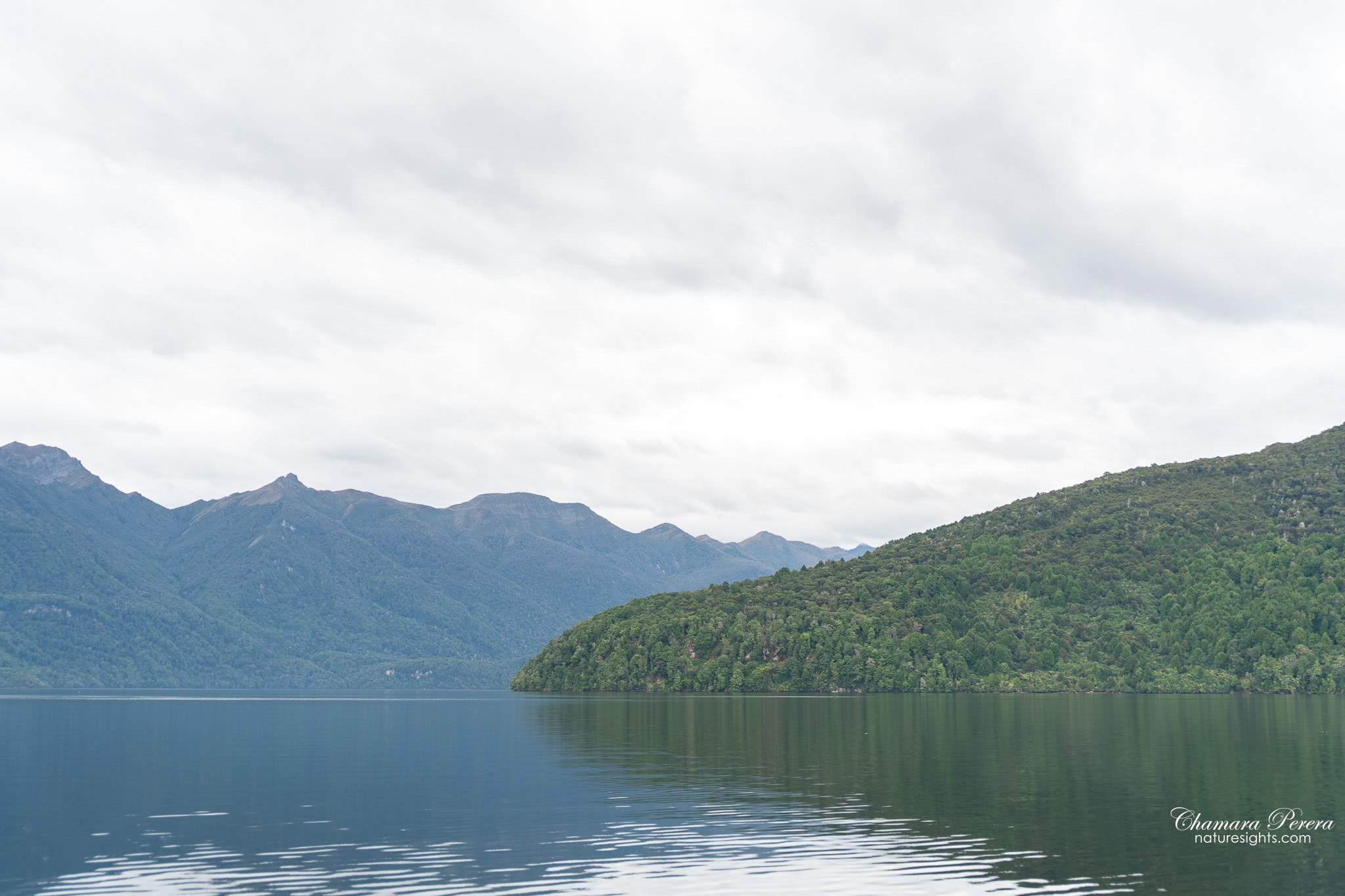 Lake Te Anau forested hills reflection Milford Track New Zealand
