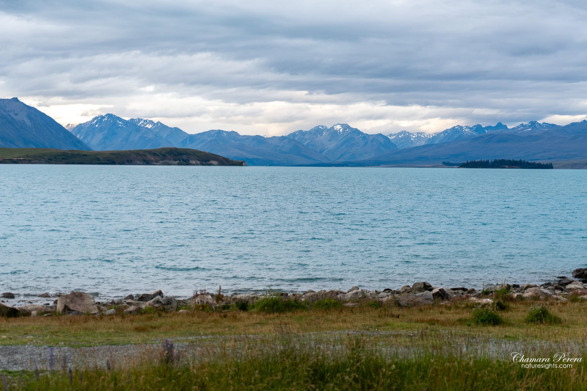 Lake Tekapo turquoise water with snow-capped Southern Alps New Zealand