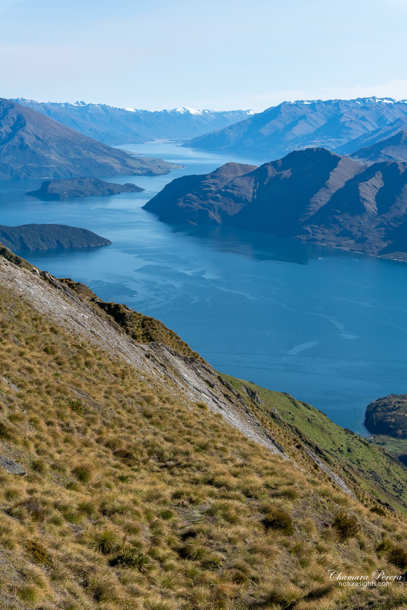Lake Wanaka looking south from Roy's Peak with grassy slope New Zealand