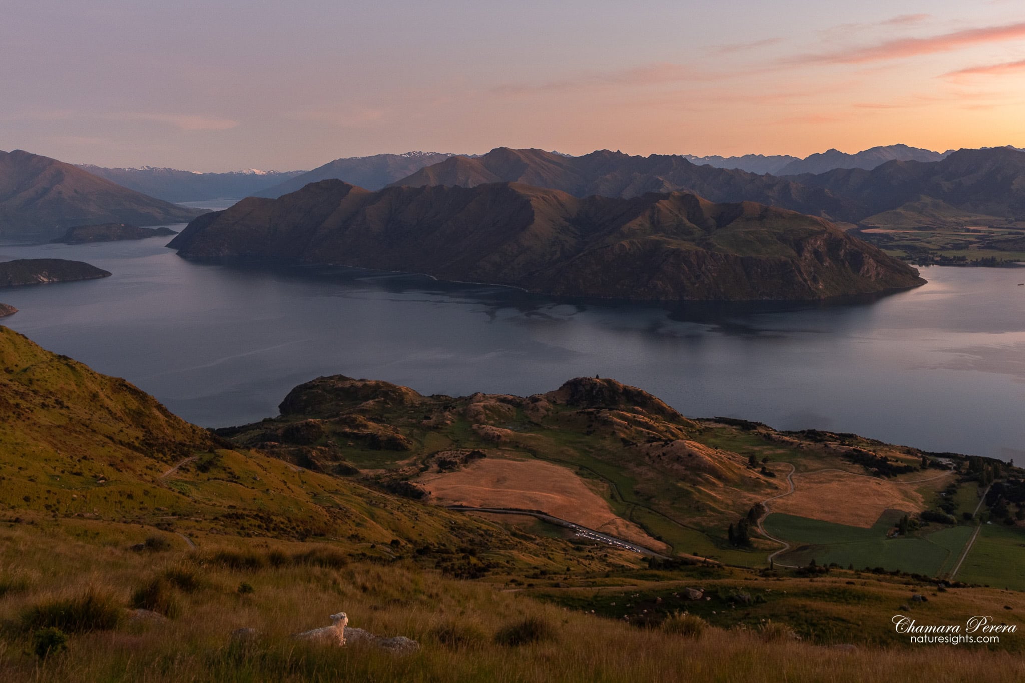 Lake Wanaka and the Southern Alps in first sunrise light from Roy's Peak trail New Zealand