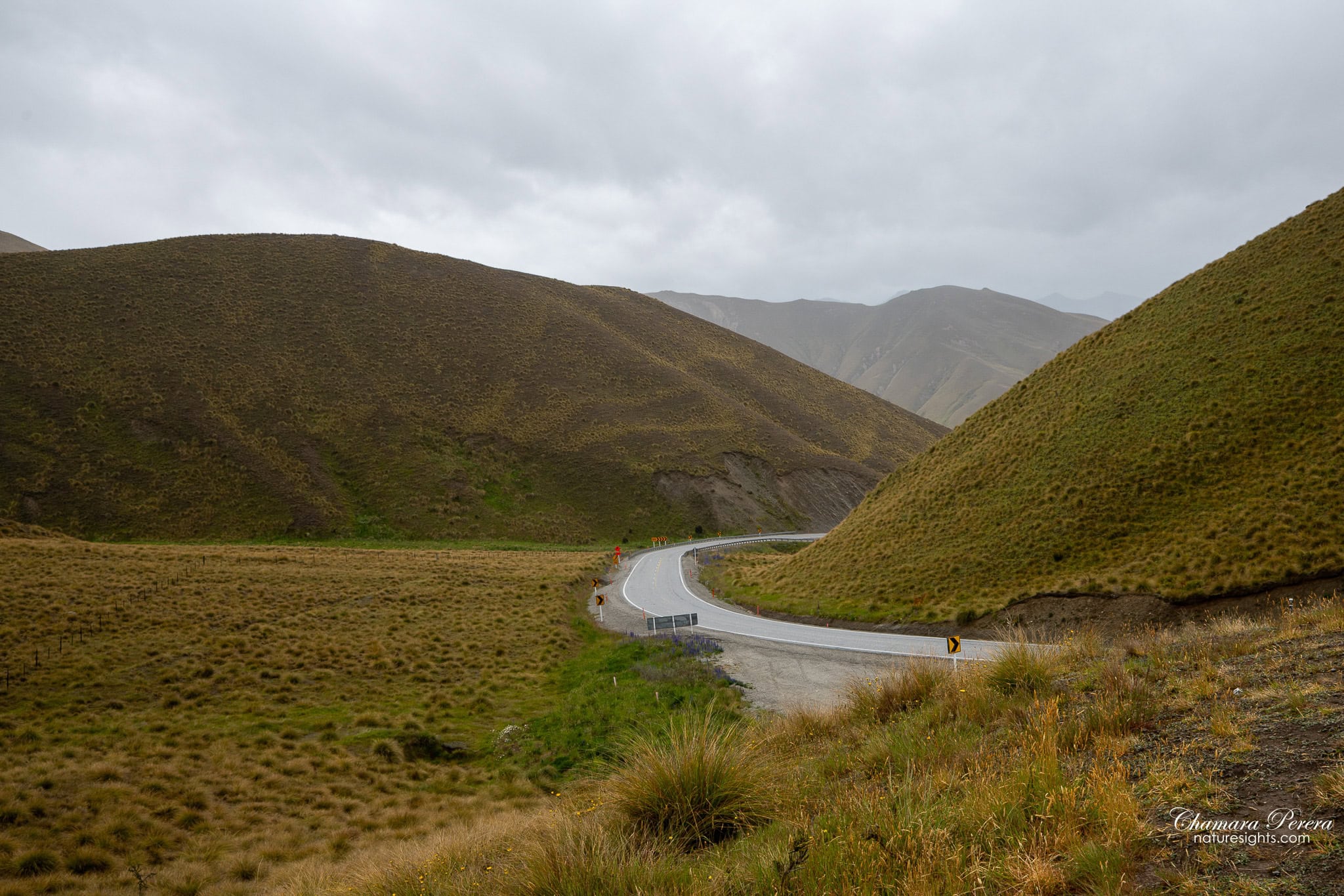 winding road through Lindis Pass tussock hills New Zealand