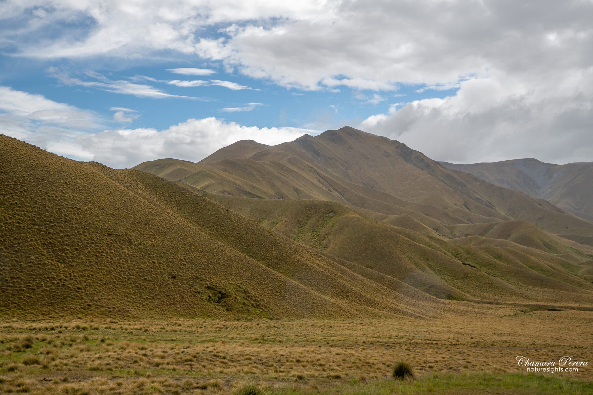 sunlit tussock hills Lindis Pass New Zealand blue sky