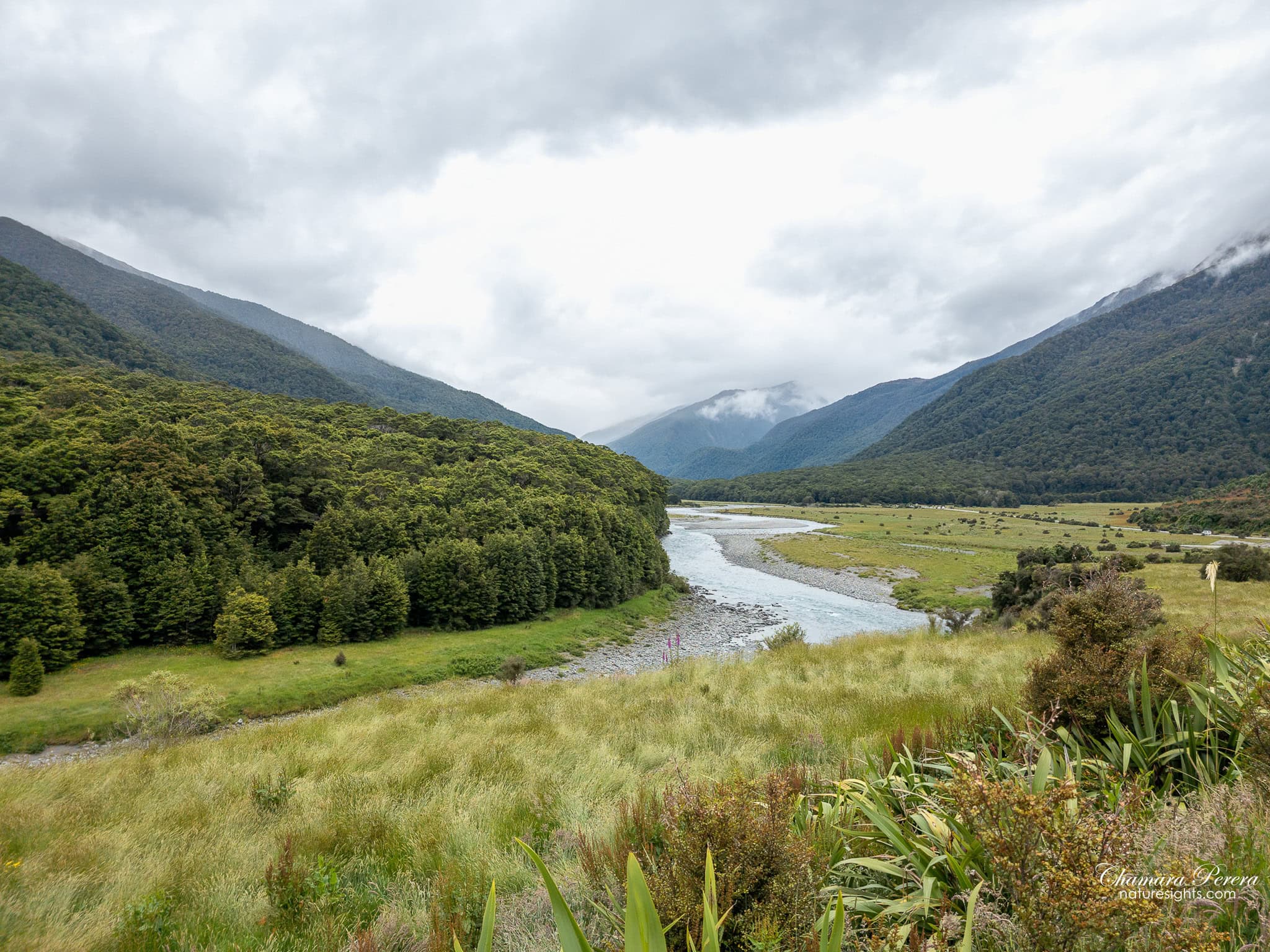 Makarora Valley river winding through Haast Pass New Zealand