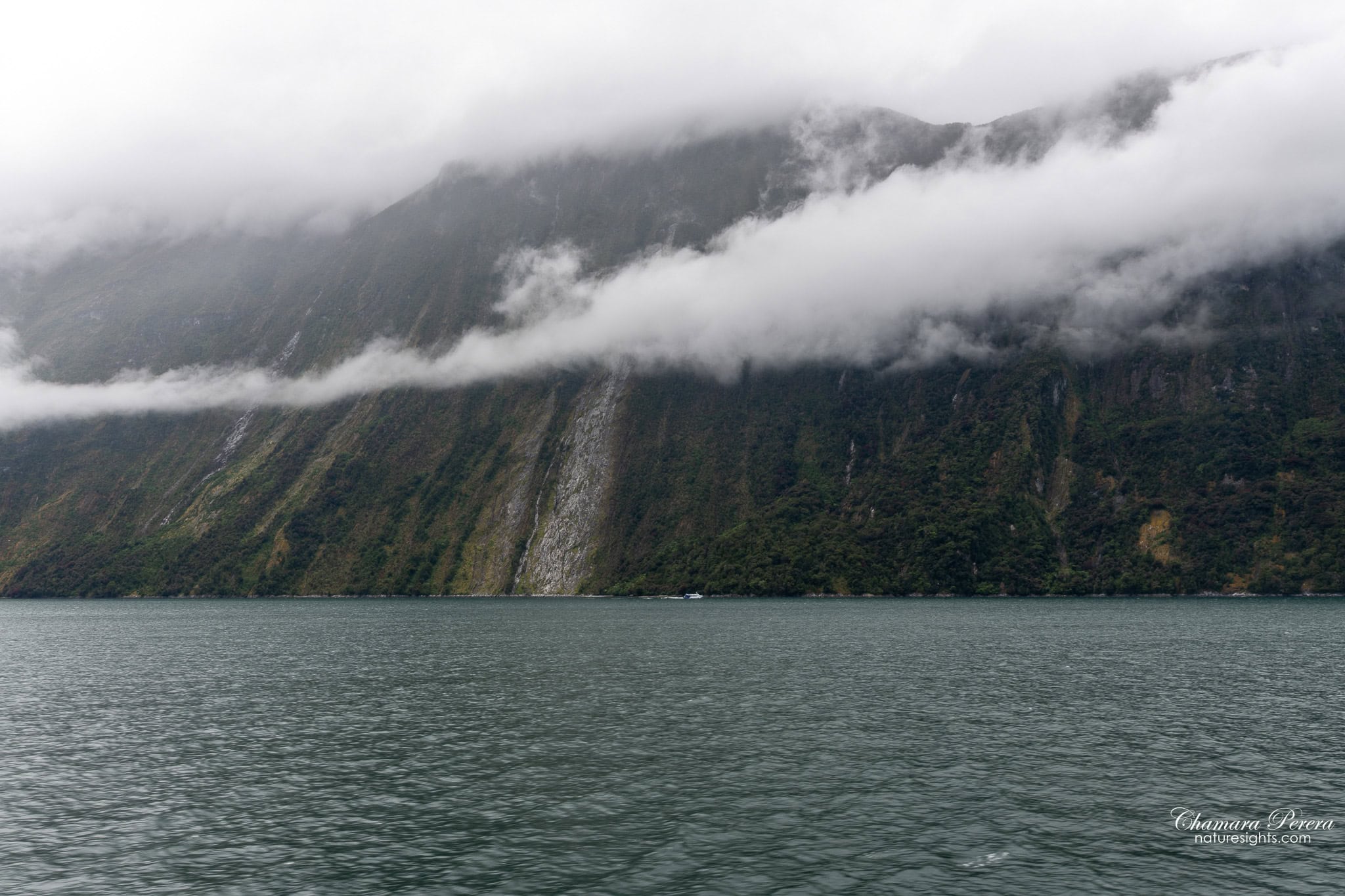 Milford Sound dramatic cliff walls with cloud and small waterfalls Fiordland New Zealand