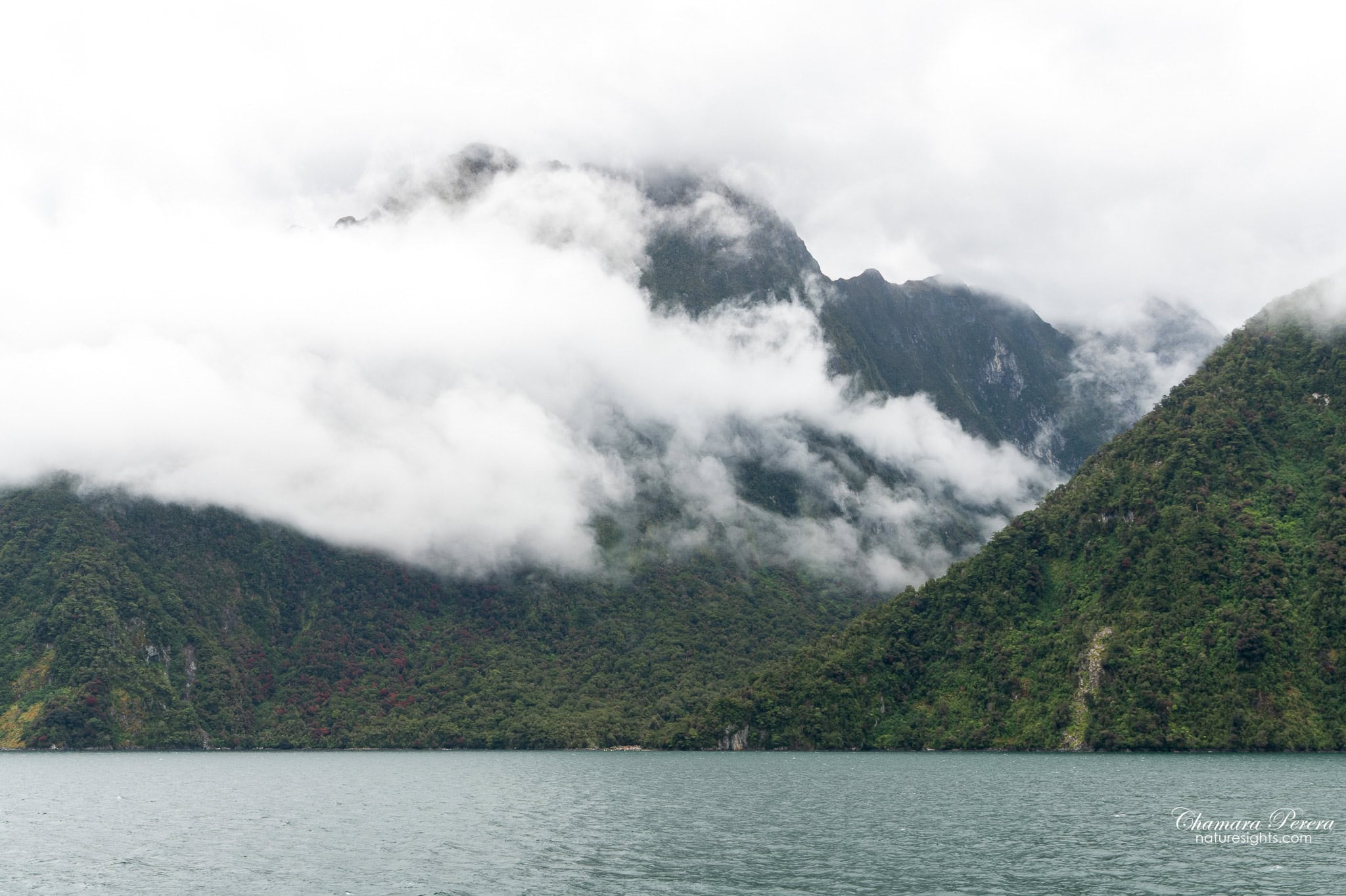 Milford Sound mountains with cloud Fiordland New Zealand