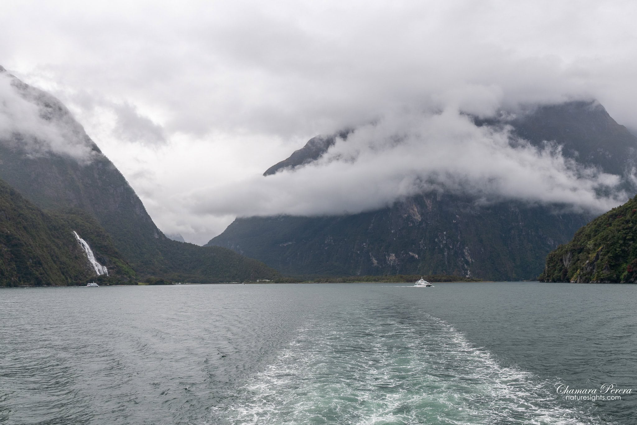 RealNZ cruise boat wake view Milford Sound Fiordland New Zealand