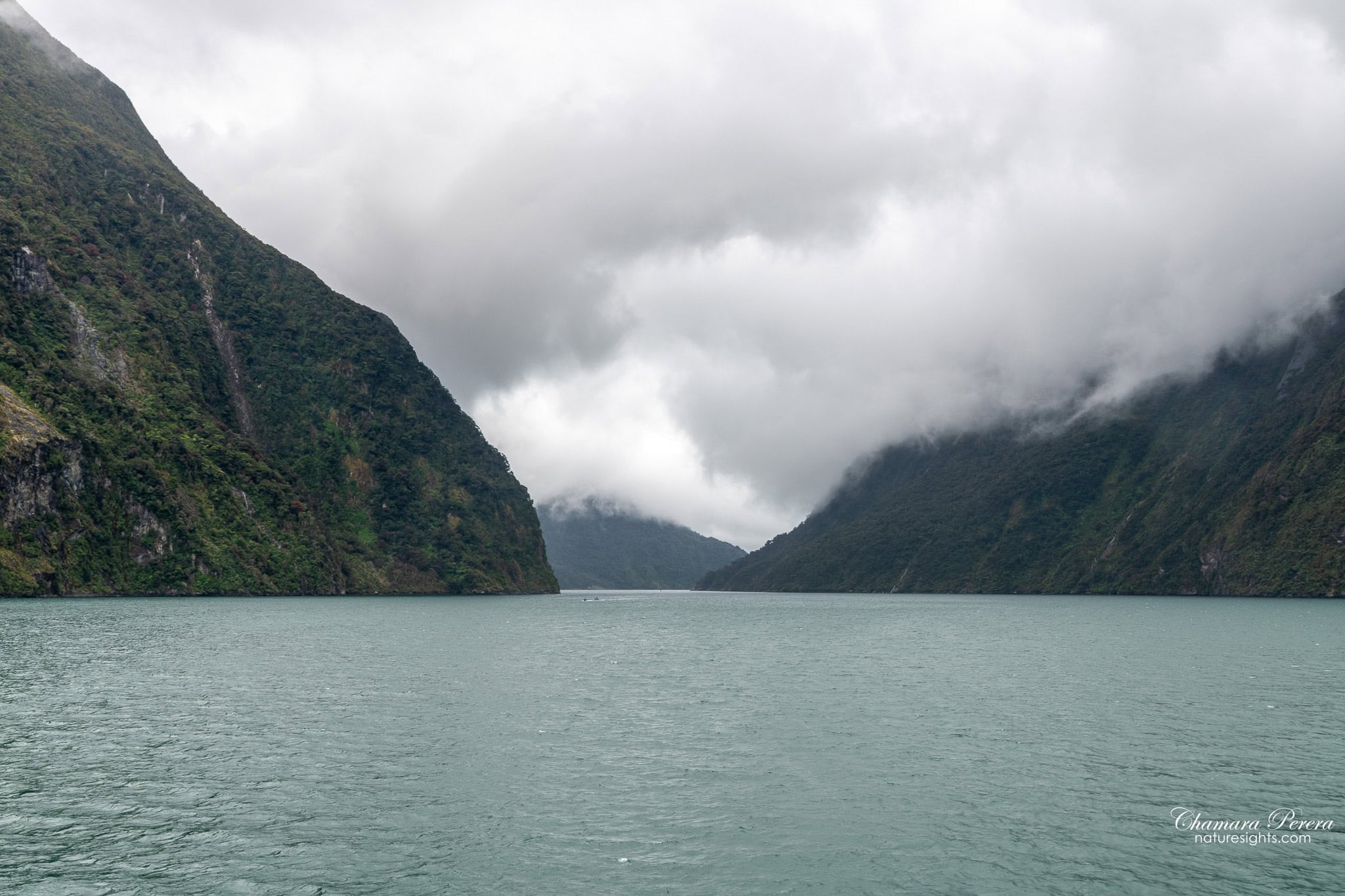 Milford Sound fjord corridor with mountains on both sides New Zealand