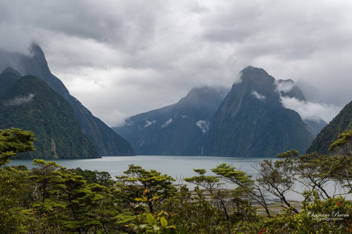 Milford Sound fjord with Mitre Peak and dramatic cloud Fiordland New Zealand