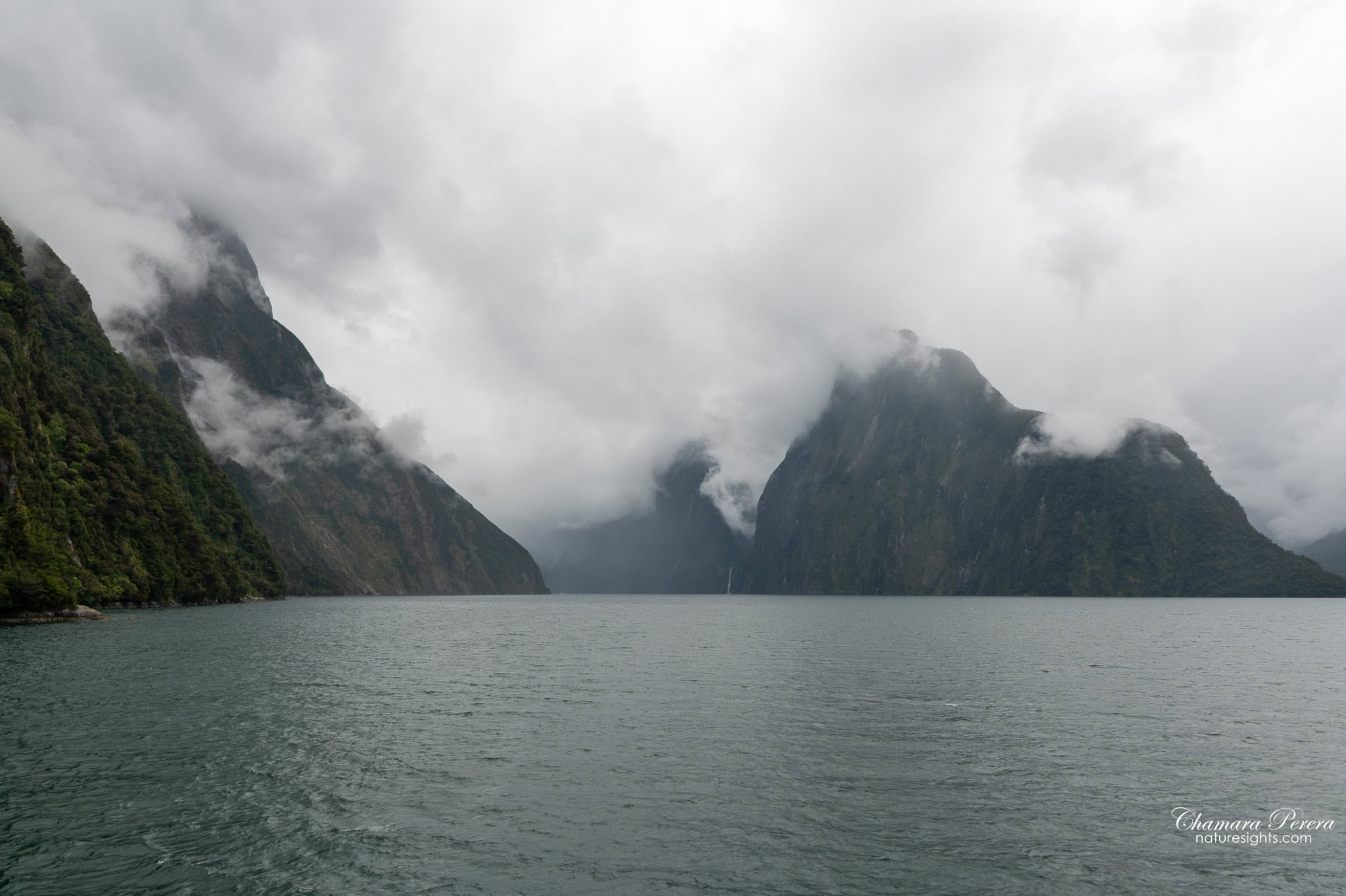 Milford Sound fjord with granite peaks and low cloud Fiordland New Zealand