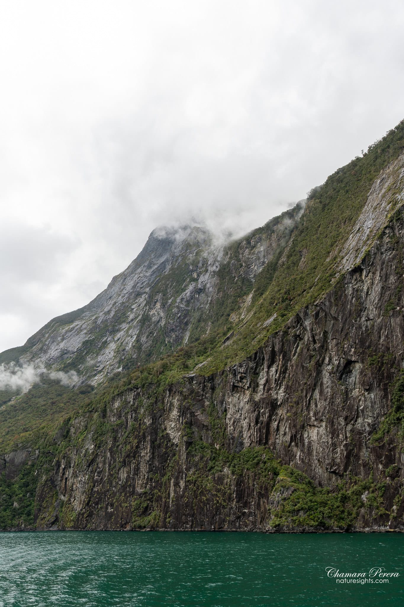 Milford Sound granite cliff face rising from the water Fiordland New Zealand