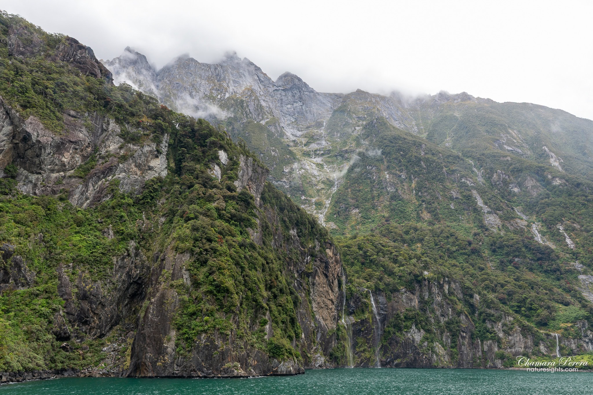 Milford Sound hillside valley with rainforest and rock Fiordland New Zealand