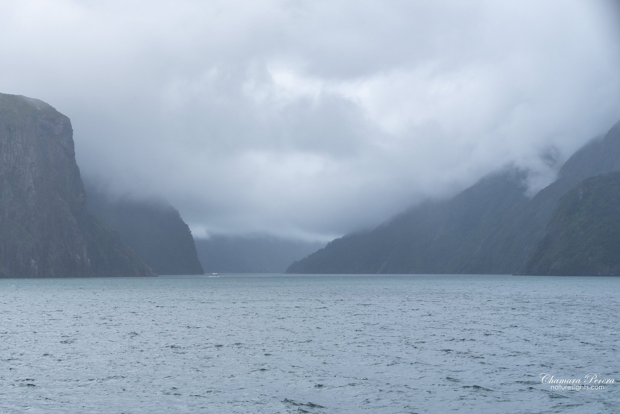 Milford Sound moody rain conditions Fiordland New Zealand
