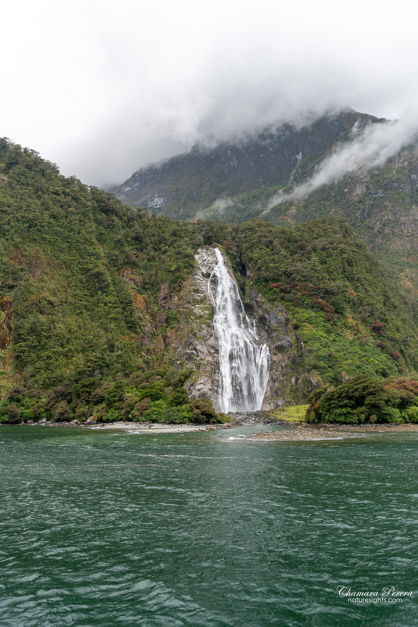 Milford Sound permanent waterfall from cruise boat New Zealand