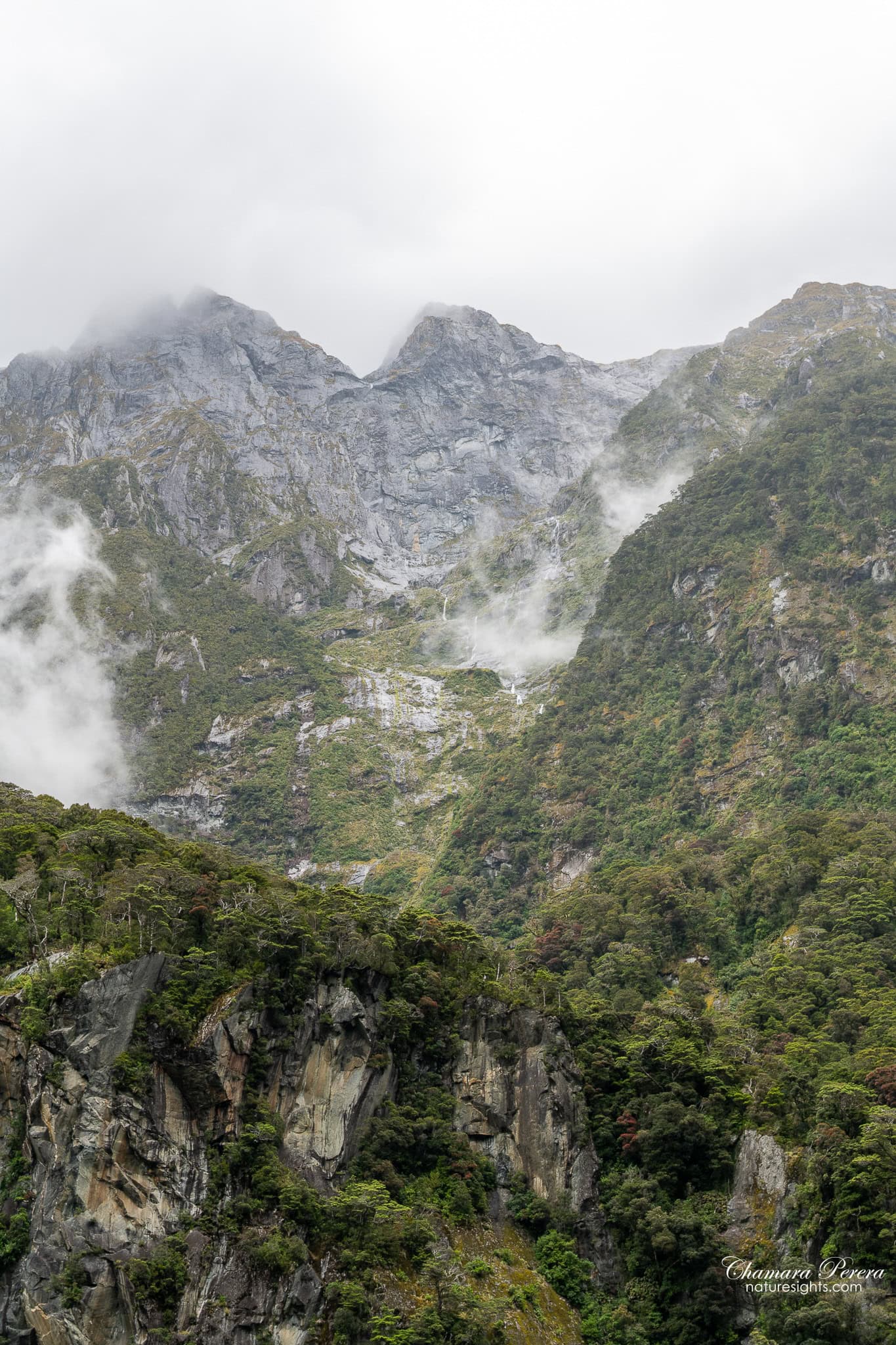 Rocky valley walls Milford Sound Fiordland New Zealand