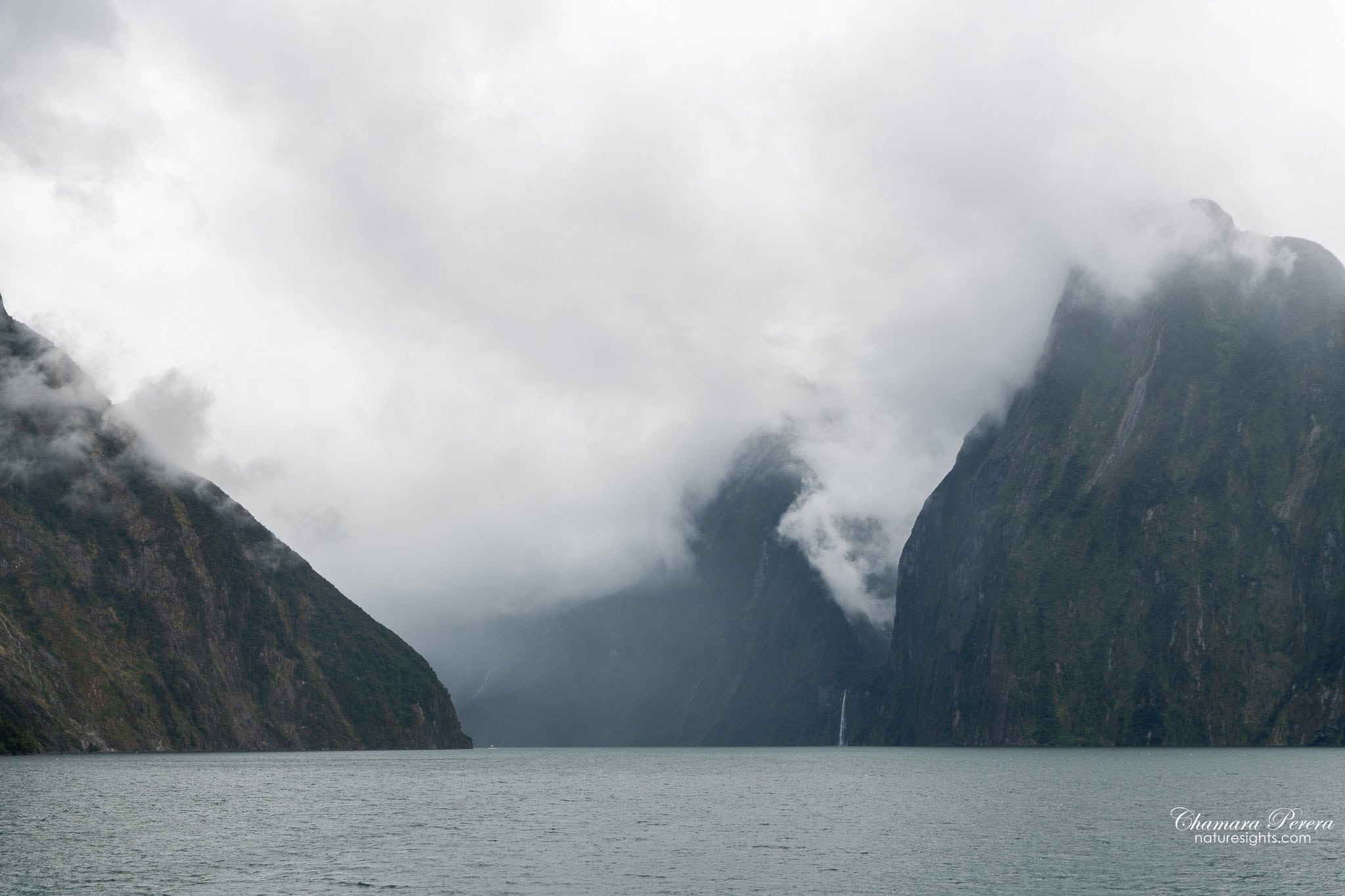 Milford Sound approaching the Tasman Sea with fjord walls in cloud New Zealand