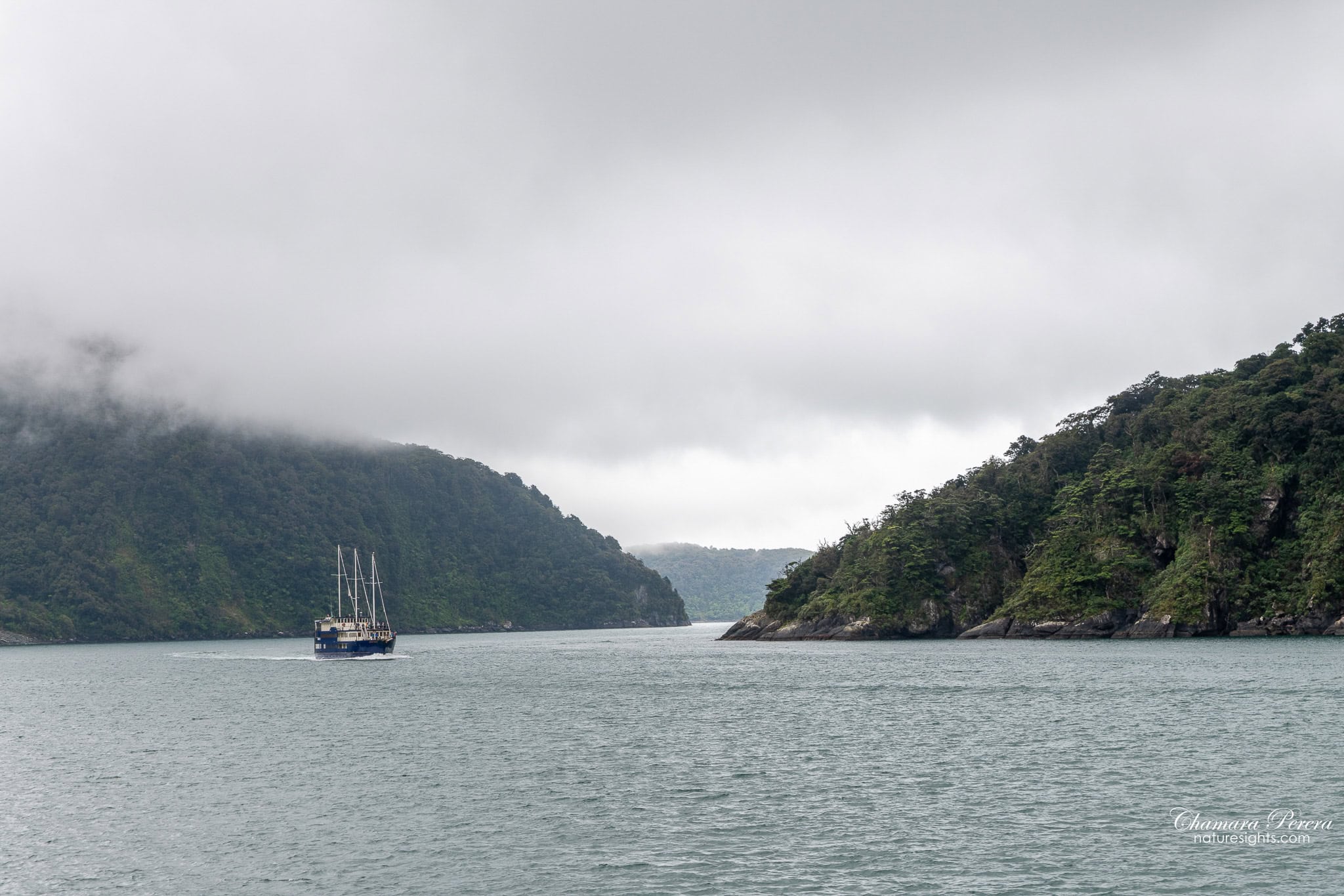 Sailing boat near the Tasman Sea end of Milford Sound New Zealand